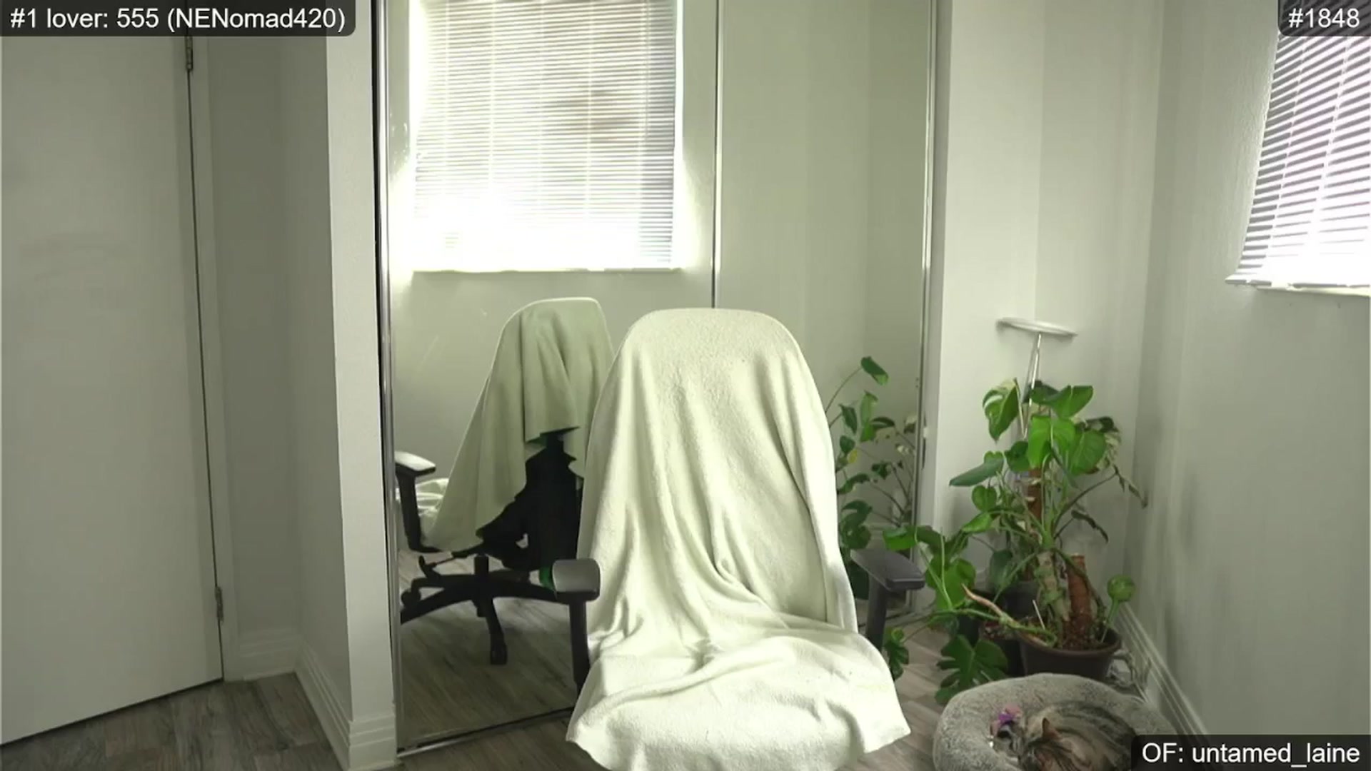 Gallery image thumbnail from e_laine's myfreecams stream on, 06/05/2024, 01:47 image 5 of 20