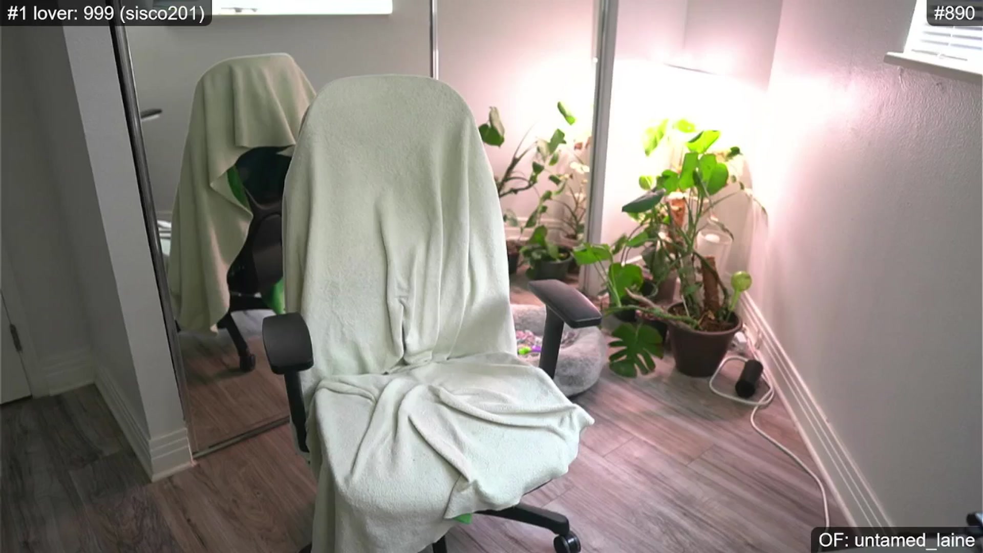 Gallery image thumbnail from e_laine's myfreecams stream on, 06/08/2024, 22:49 image 4 of 20