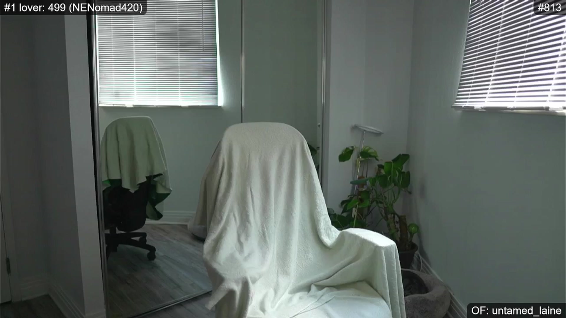 Gallery image thumbnail from e_laine's myfreecams stream on, 06/18/2024, 01:23 image 5 of 20