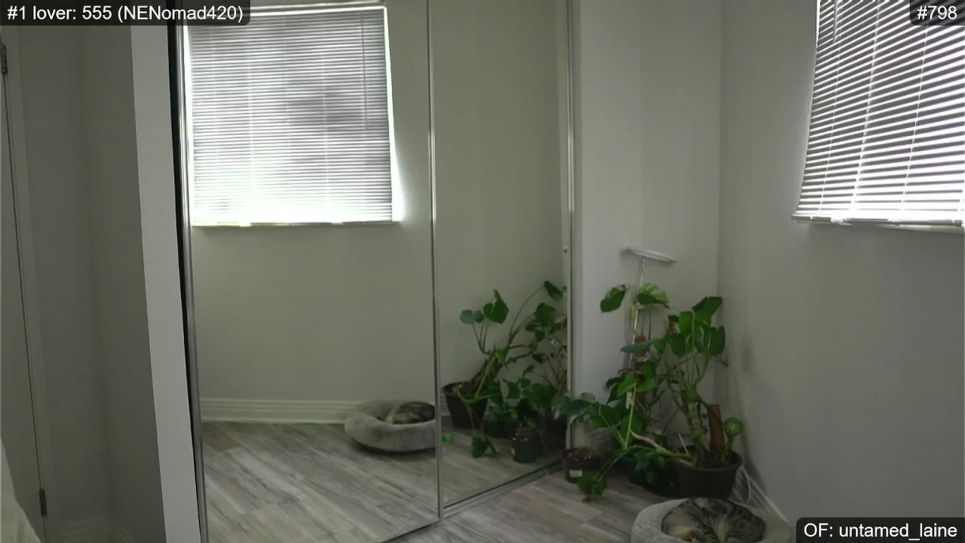 Gallery image thumbnail from e_laine's myfreecams stream on, 06/18/2024, 01:23 image 10 of 20