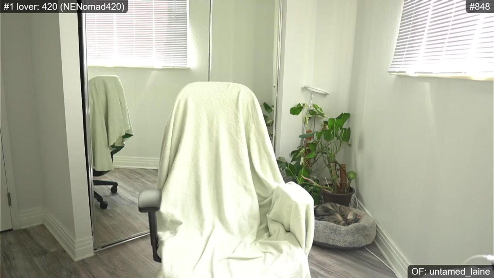 Gallery image thumbnail from e_laine's myfreecams stream on, 06/20/2024, 24:03 image 4 of 20