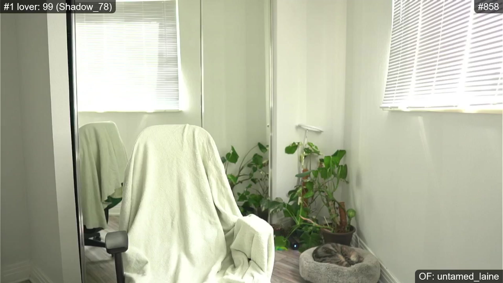 Gallery image thumbnail from e_laine's myfreecams stream on, 06/20/2024, 24:03 image 3 of 20