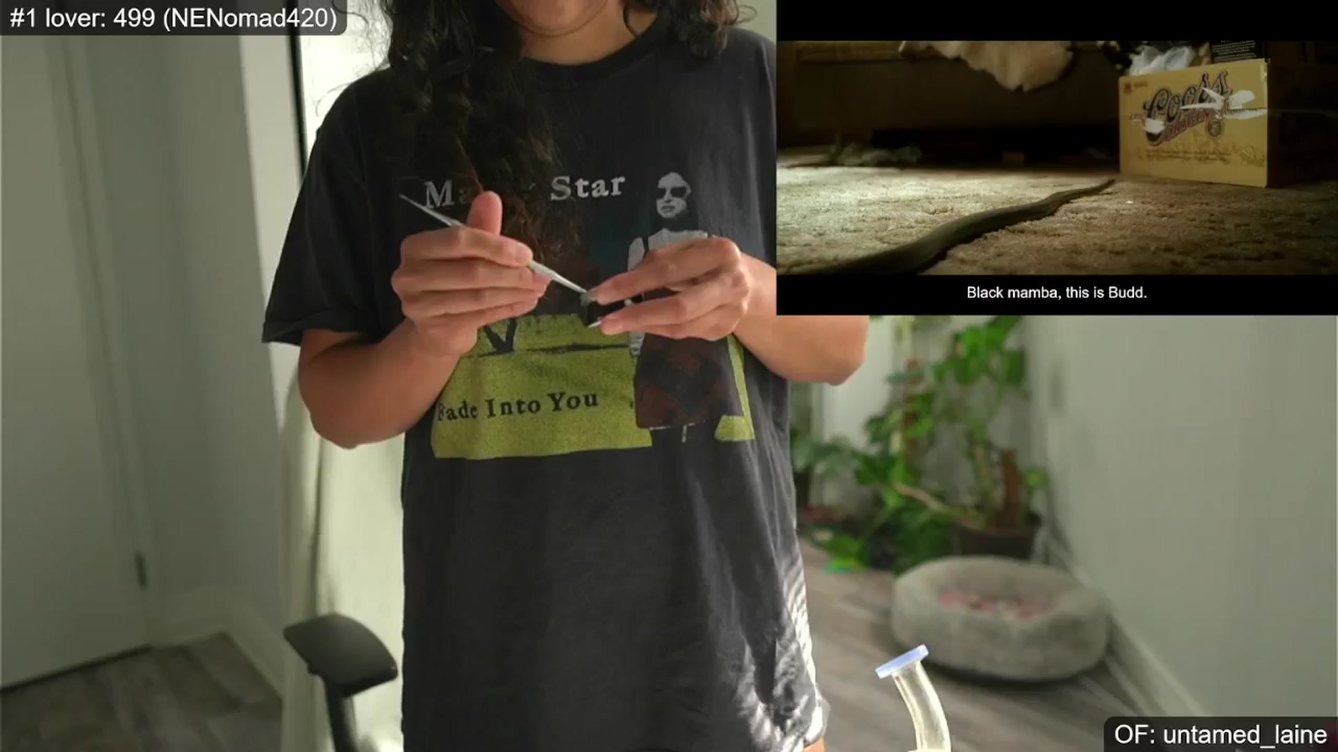 Gallery image thumbnail from e_laine's myfreecams stream on, 06/20/2024, 01:25 image 2 of 20