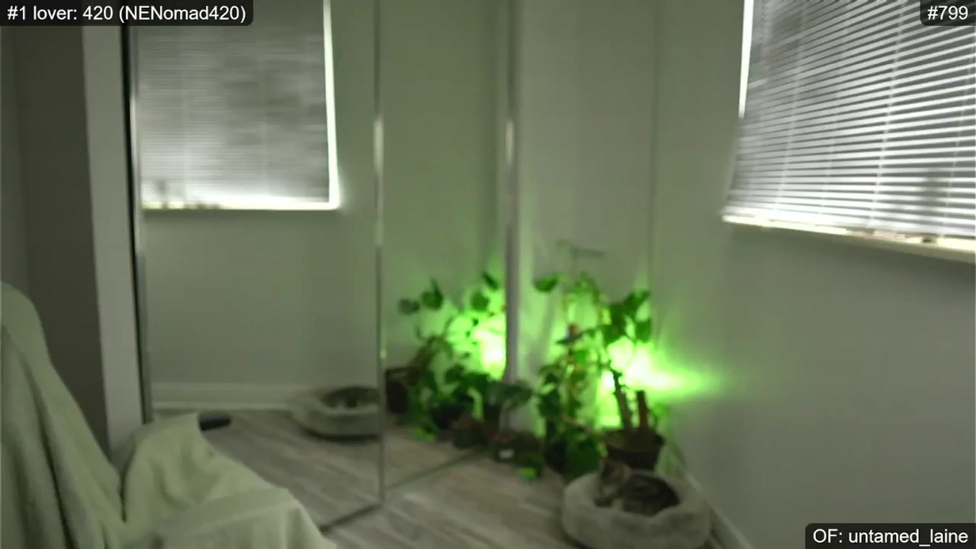 Gallery image thumbnail from e_laine's myfreecams stream on, 06/21/2024, 24:02 image 20 of 20