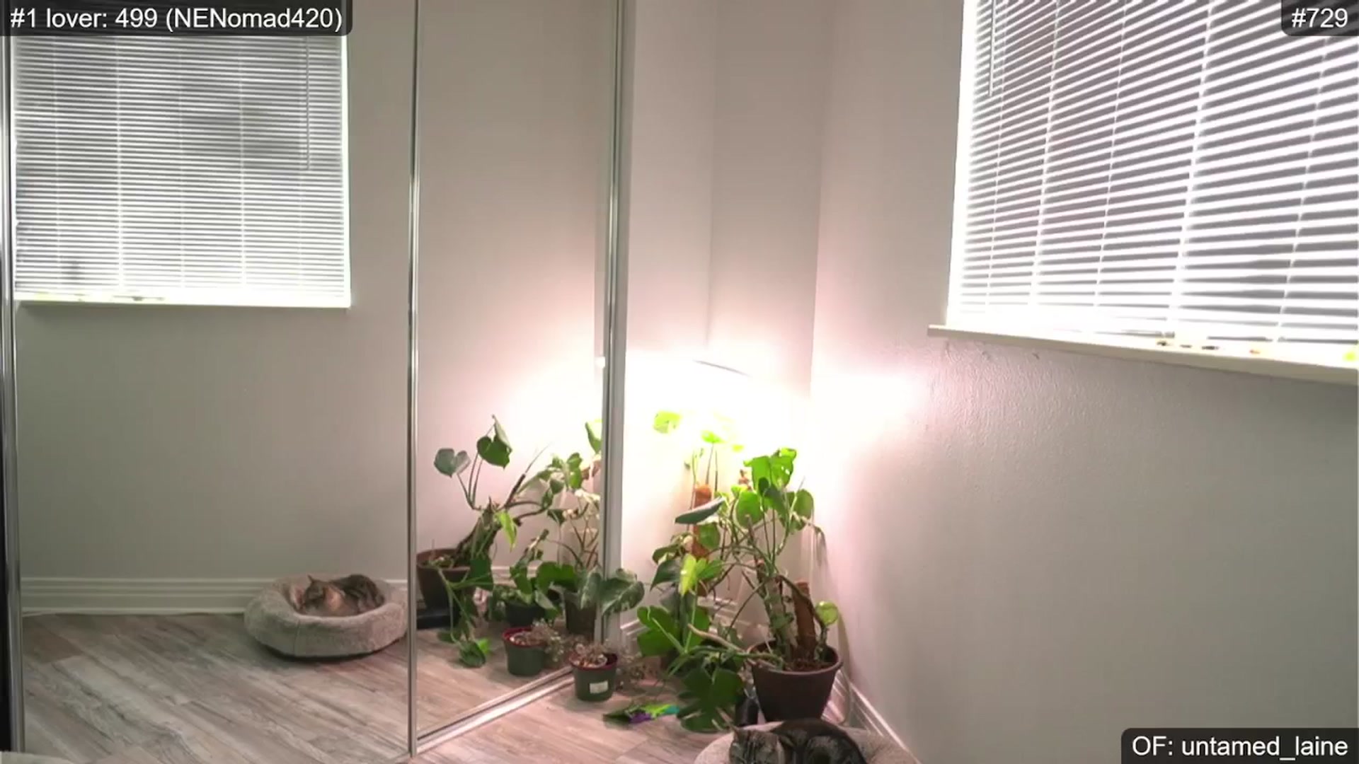 Gallery image thumbnail from e_laine's myfreecams stream on, 06/25/2024, 24:01 image 1 of 20