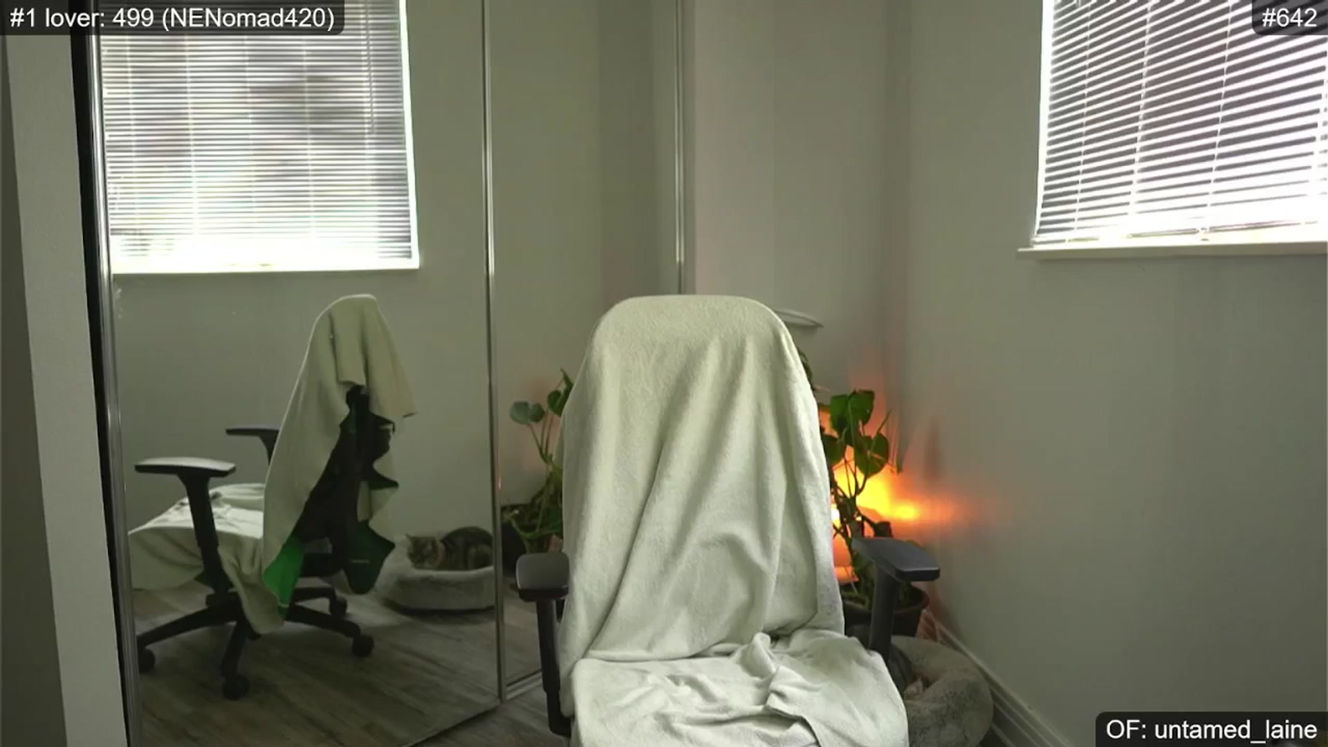 Gallery image thumbnail from e_laine's myfreecams stream on, 06/26/2024, 24:04 image 13 of 20