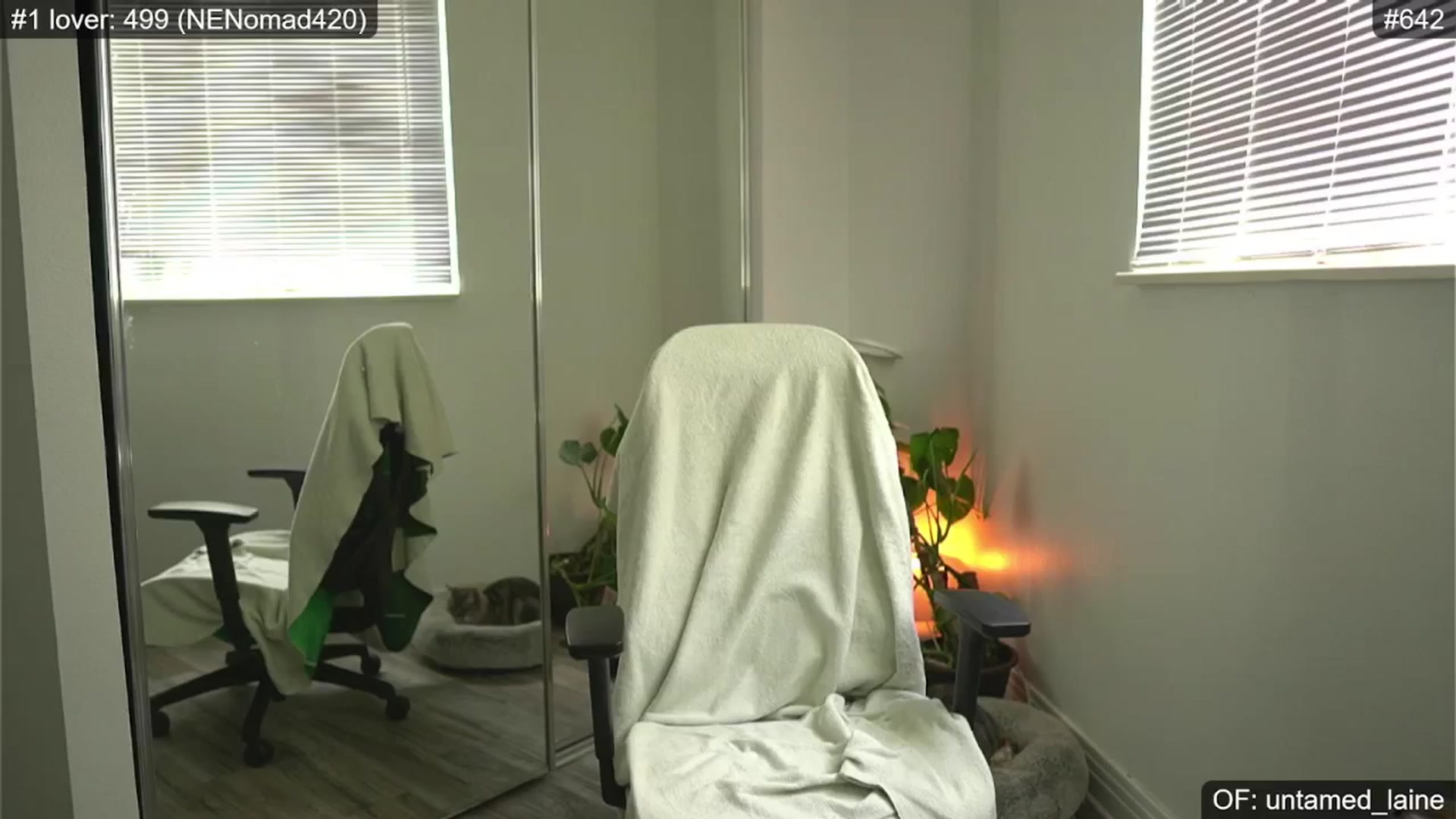 Gallery image thumbnail from e_laine's myfreecams stream on, 06/26/2024, 01:09 image 2 of 20