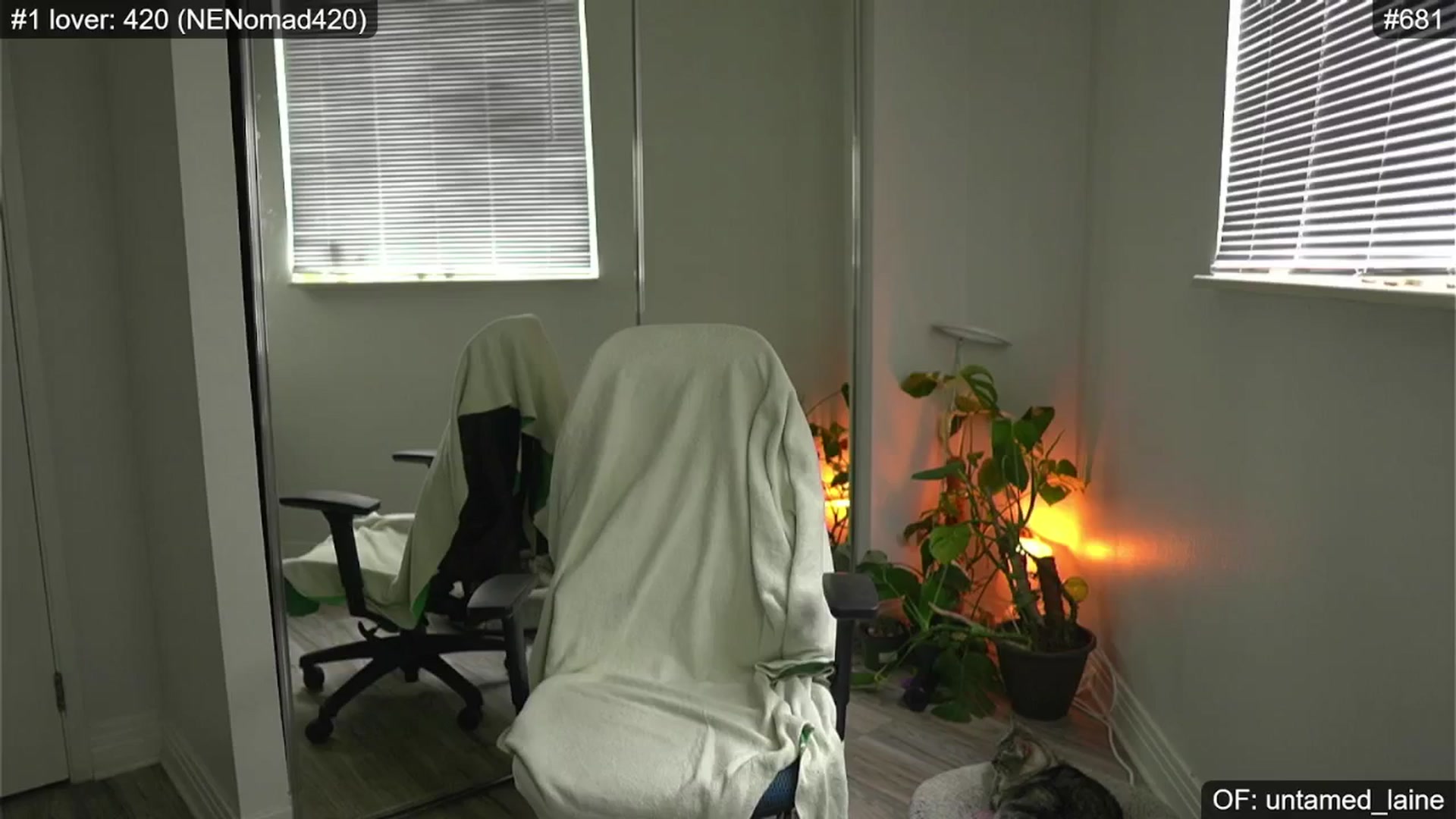 Gallery image thumbnail from e_laine's myfreecams stream on, 06/28/2024, 24:46 image 11 of 20