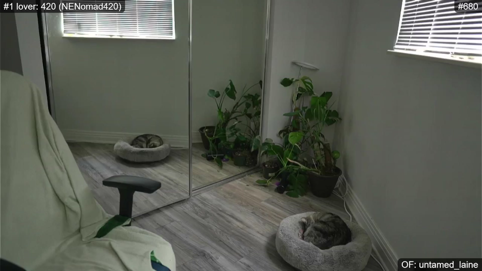 Gallery image thumbnail from e_laine's myfreecams stream on, 06/28/2024, 24:46 image 3 of 20