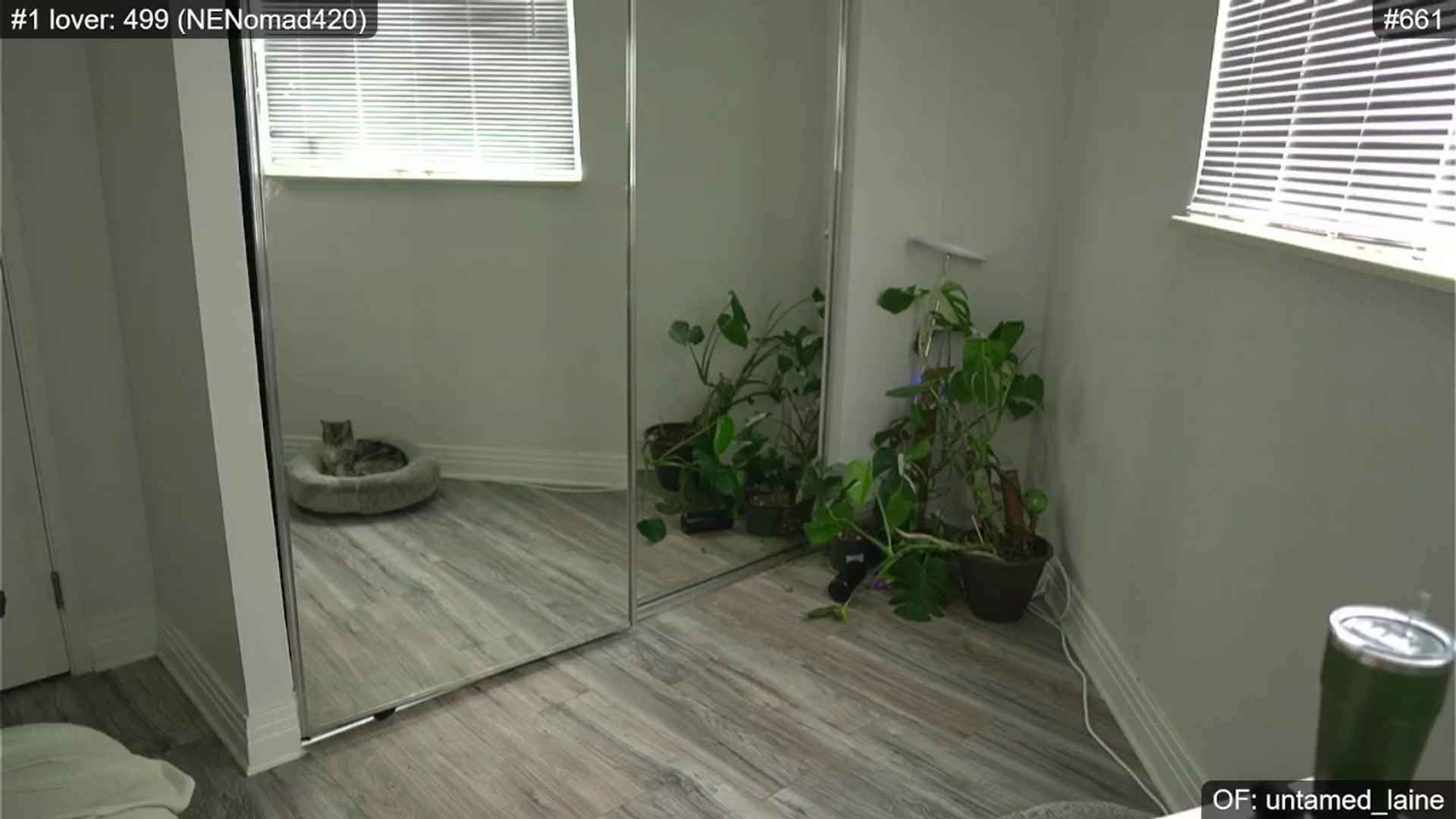 Gallery image thumbnail from e_laine's myfreecams stream on, 06/29/2024, 01:08 image 7 of 20