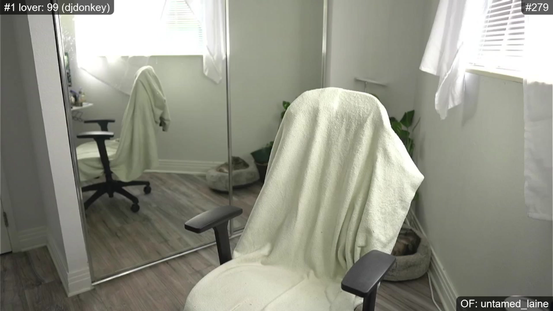 Gallery image thumbnail from e_laine's myfreecams stream on, 07/03/2024, 23:55 image 4 of 20