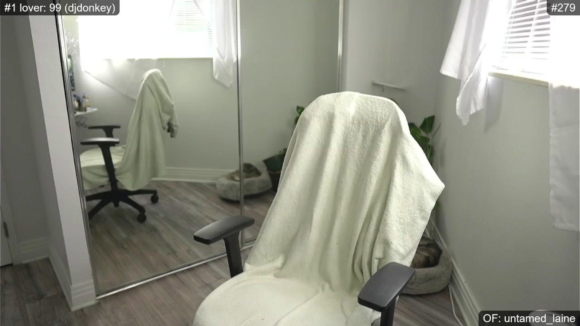 Gallery image thumbnail from e_laine's myfreecams stream on, 07/03/2024, 23:55 image 3 of 20