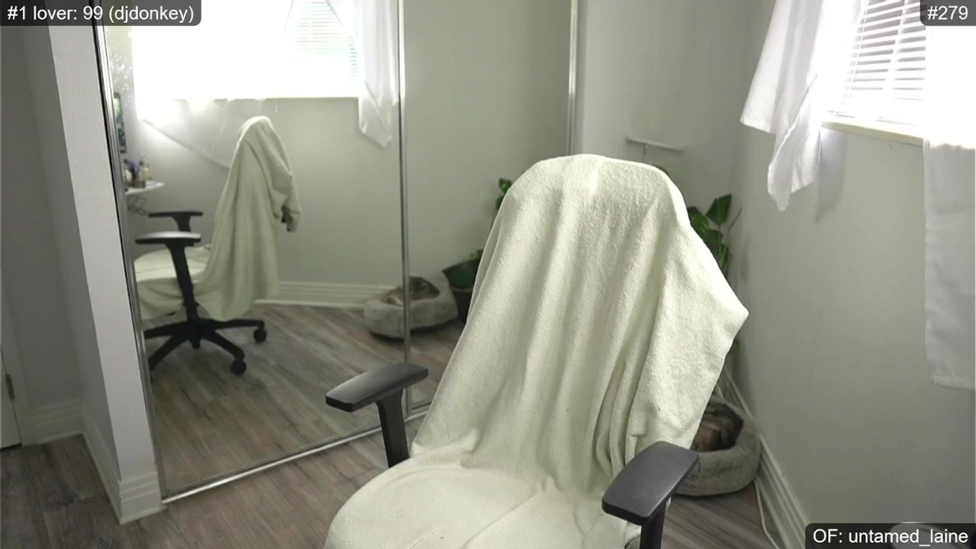 Gallery image thumbnail from e_laine's myfreecams stream on, 07/03/2024, 23:55 image 2 of 20