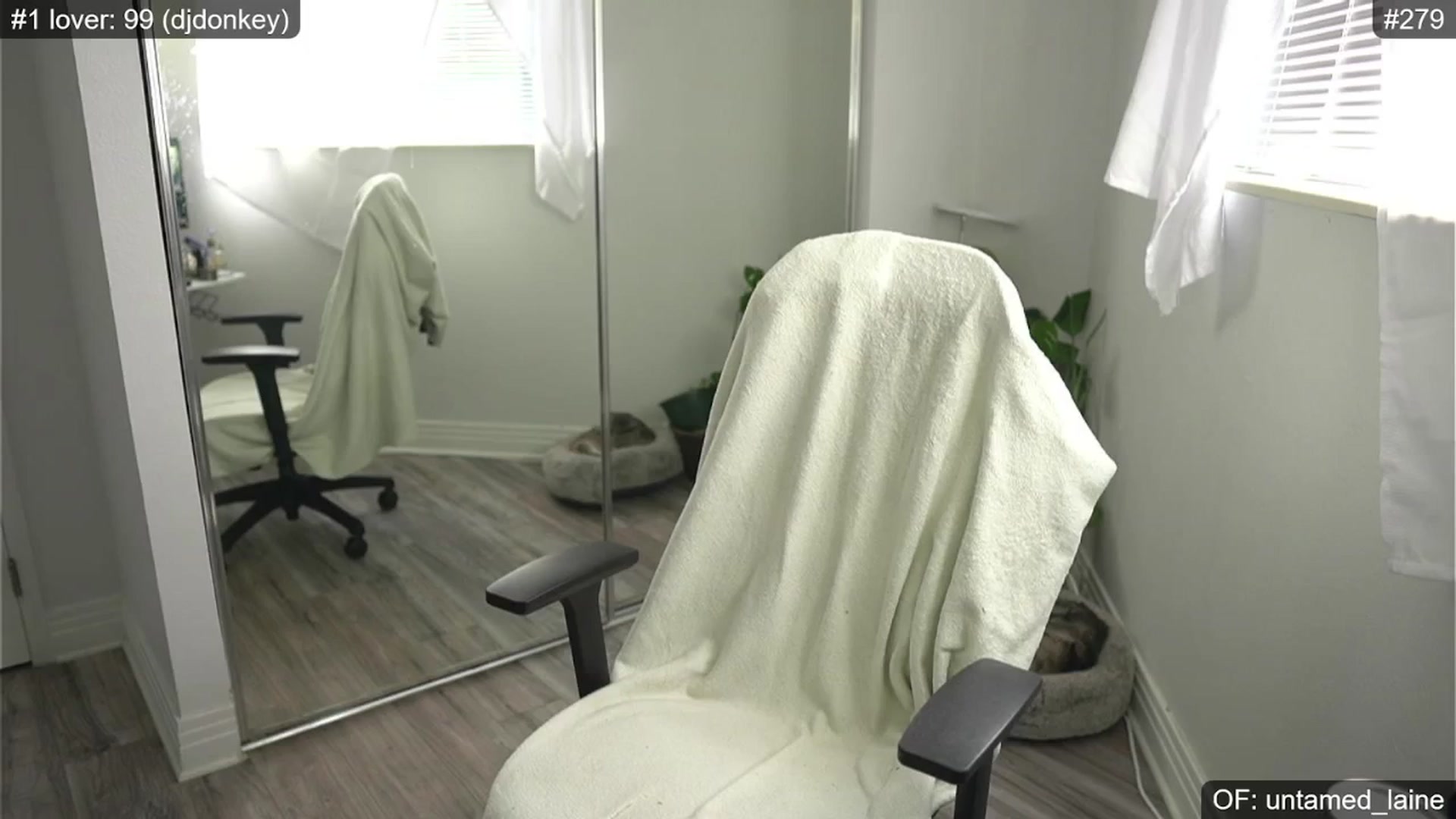 Gallery image thumbnail from e_laine's myfreecams stream on, 07/03/2024, 23:55 image 1 of 20