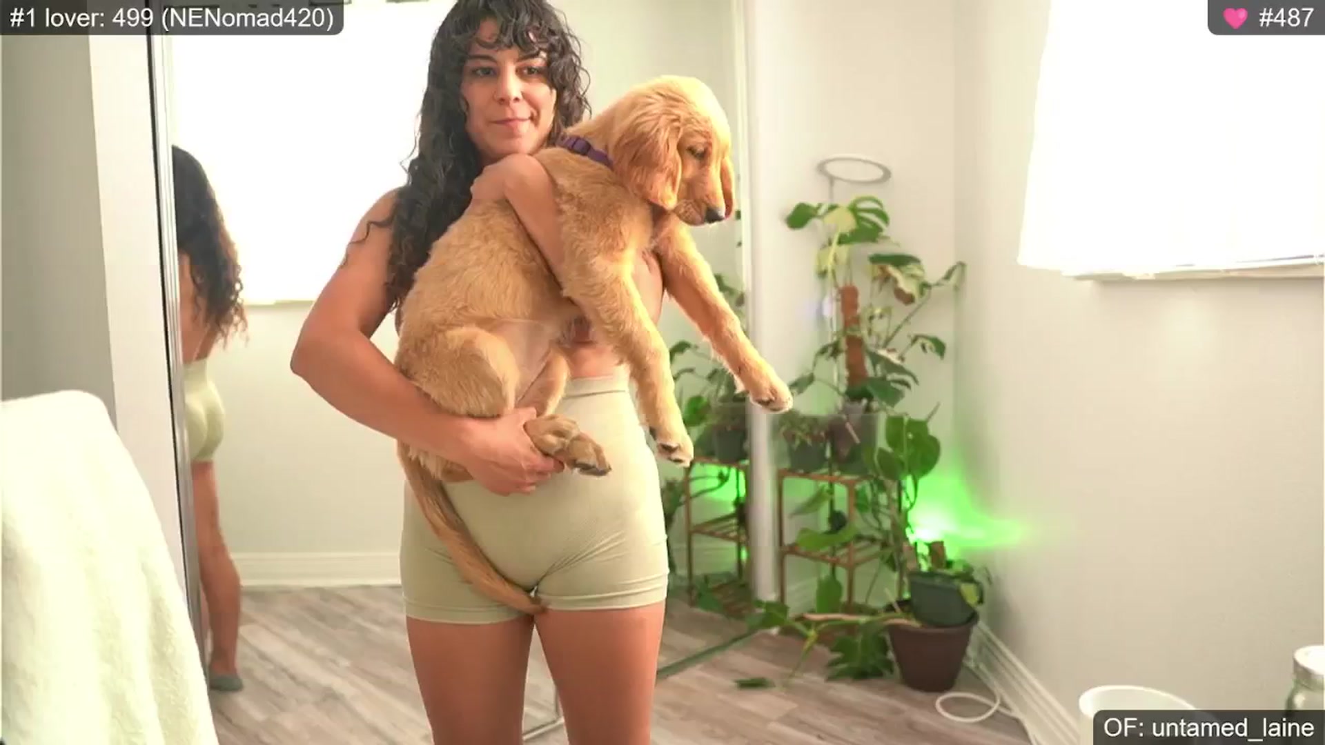 Gallery image thumbnail from e_laine's myfreecams stream on, 07/13/2024, 01:19 image 7 of 20