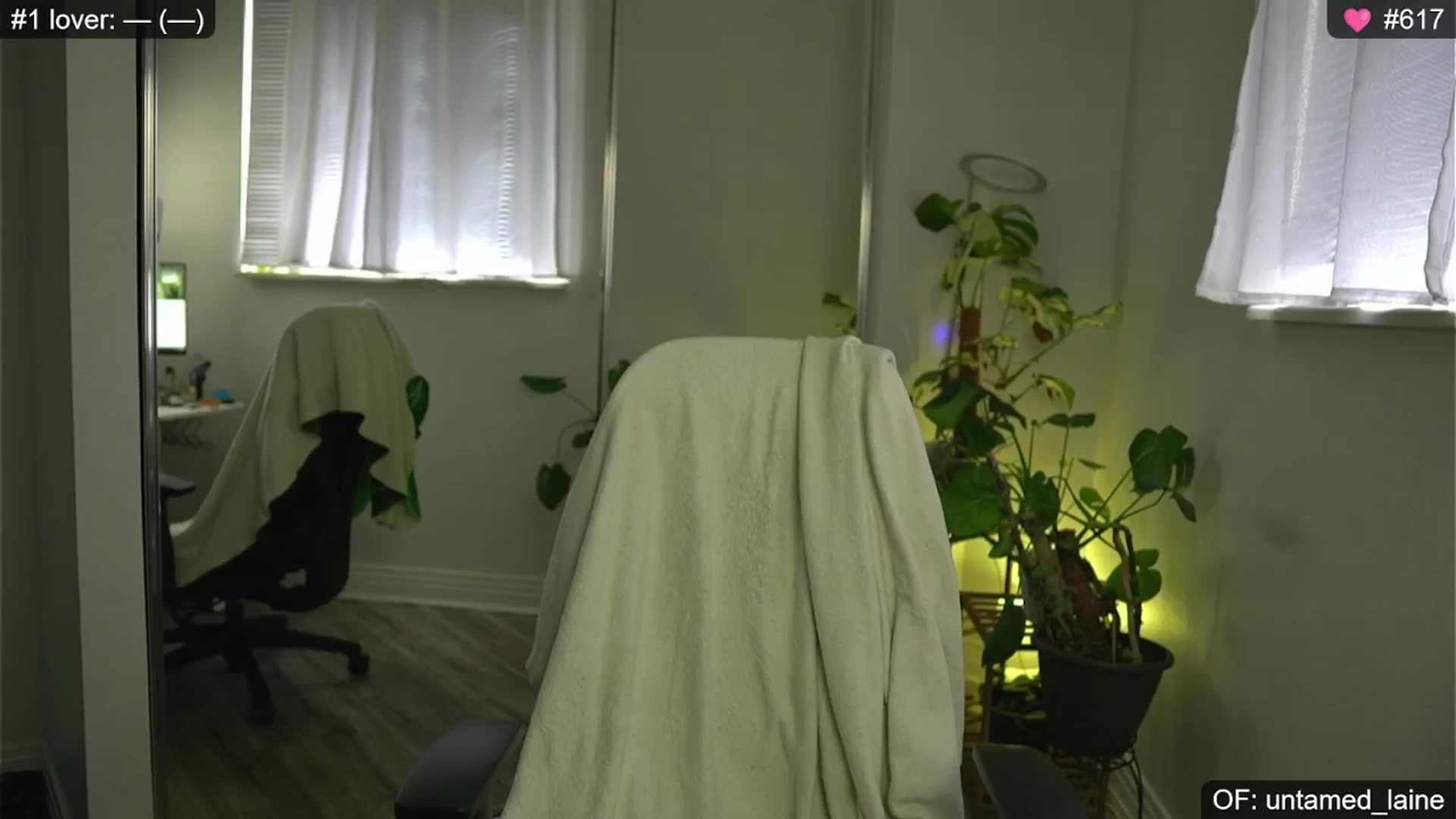 Gallery image thumbnail from e_laine's myfreecams stream on, 07/16/2024, 01:06 image 1 of 20