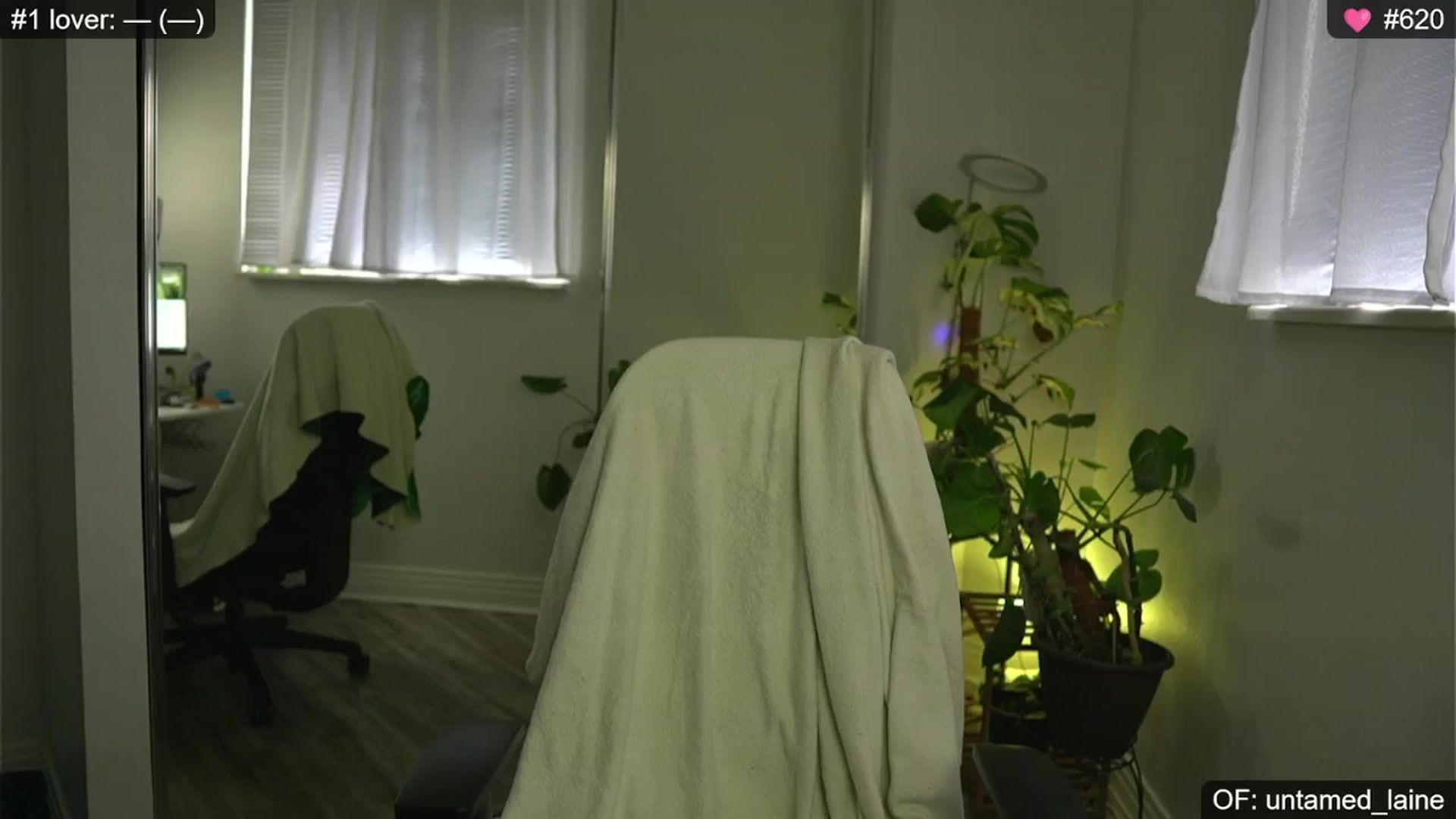 Gallery image thumbnail from e_laine's myfreecams stream on, 07/16/2024, 01:06 image 2 of 20