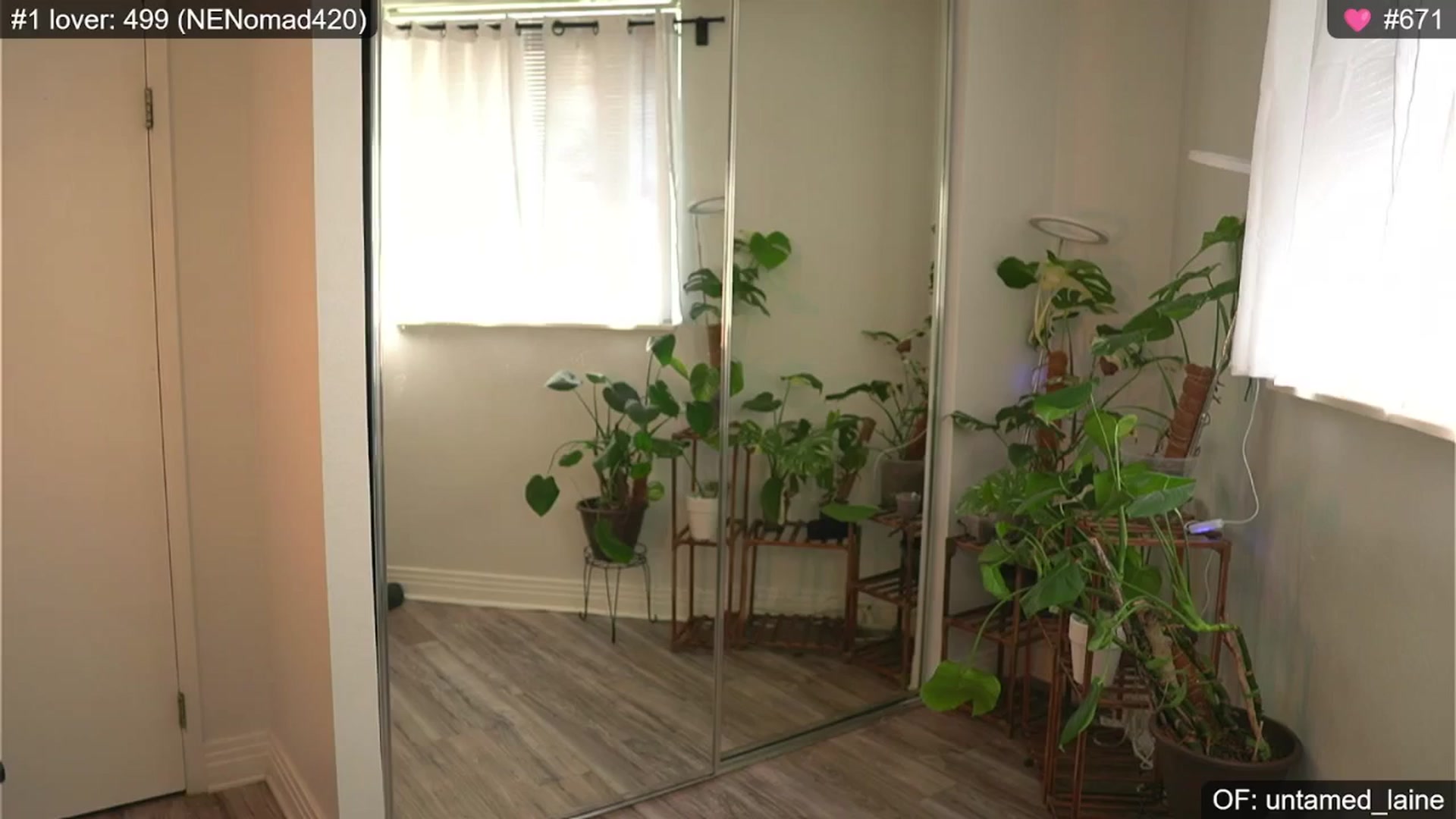 Gallery image thumbnail from e_laine's myfreecams stream on, 07/24/2024, 24:07 image 15 of 20