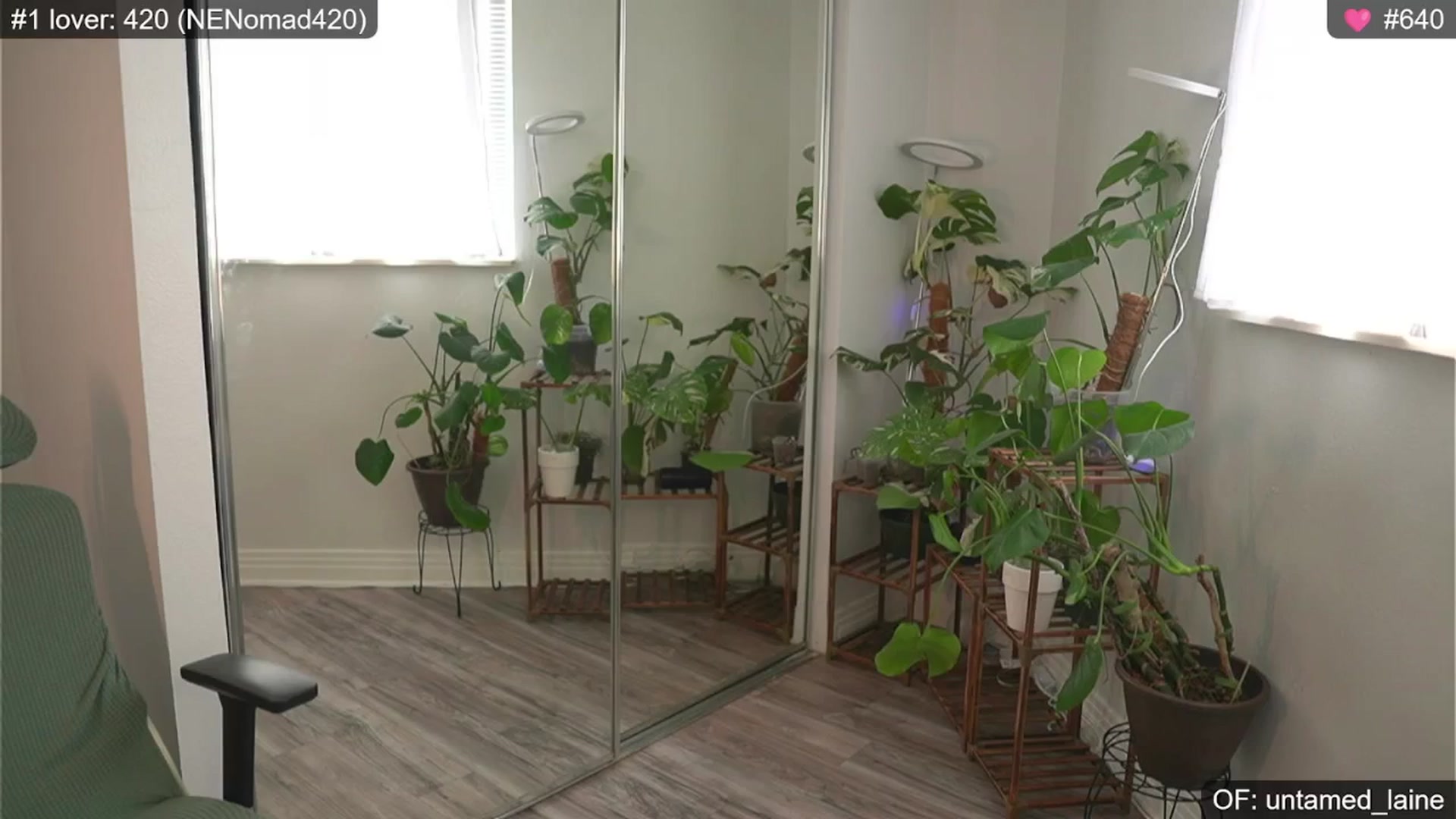 Gallery image thumbnail from e_laine's myfreecams stream on, 07/25/2024, 24:02 image 6 of 20