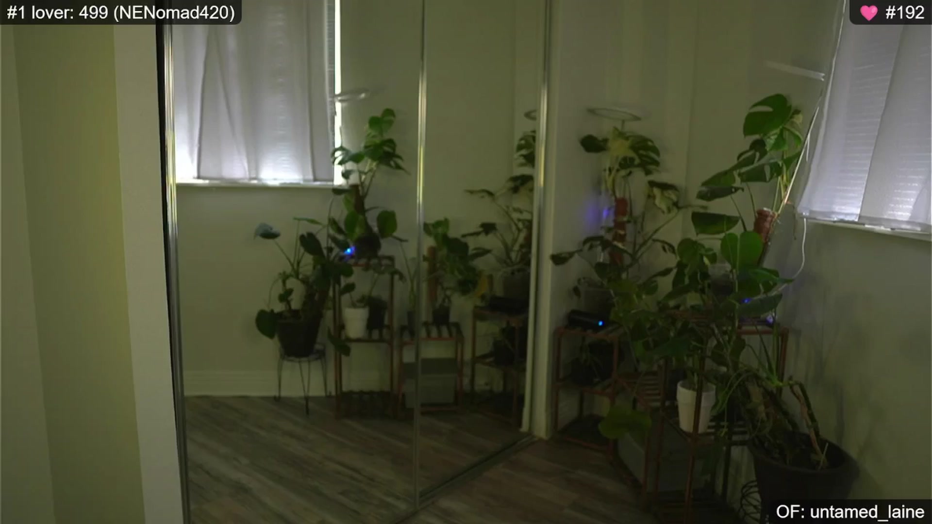 Gallery image thumbnail from e_laine's myfreecams stream on, 08/02/2024, 02:07 image 19 of 20