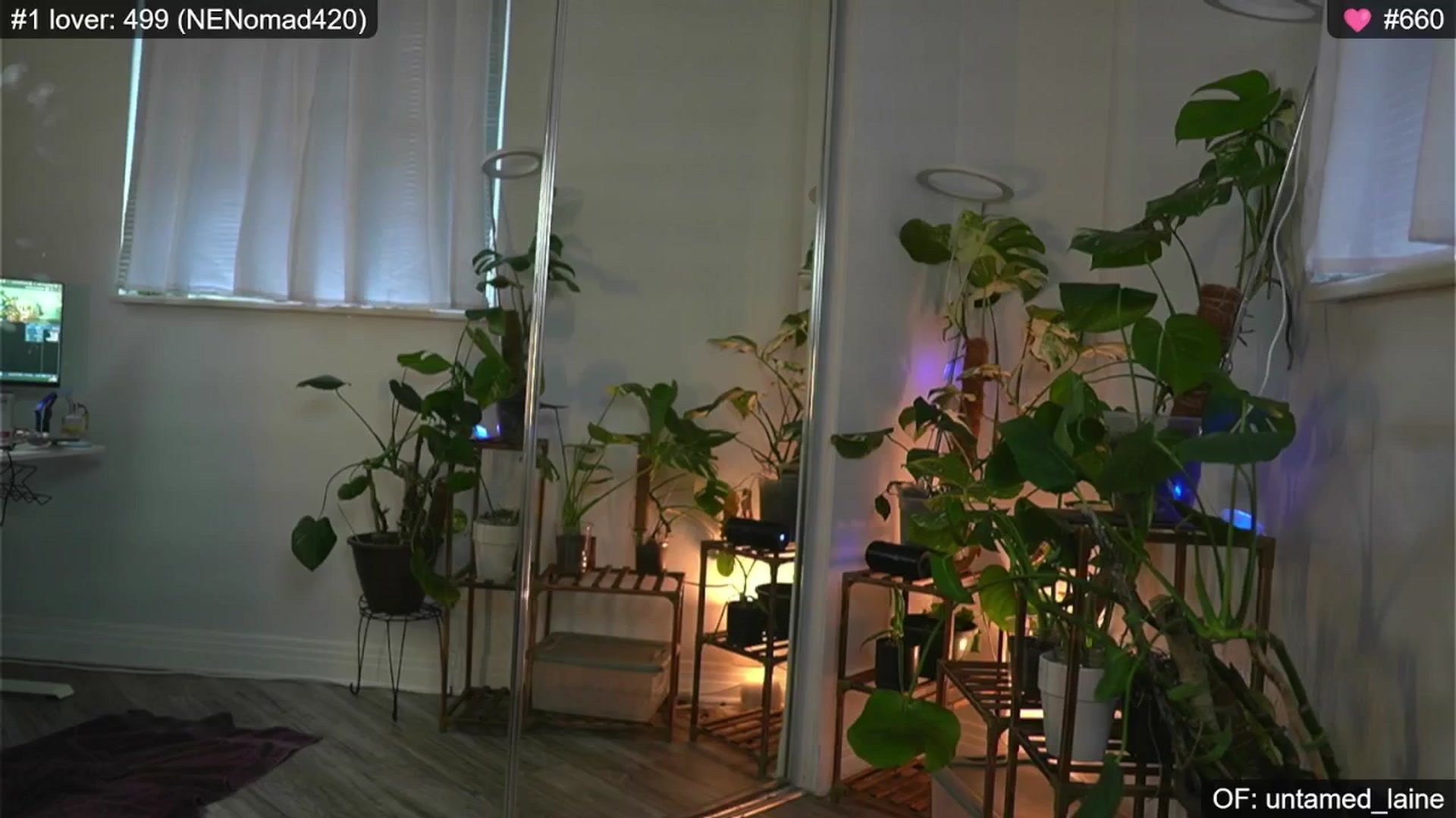Gallery image thumbnail from e_laine's myfreecams stream on, 08/09/2024, 01:39 image 15 of 20