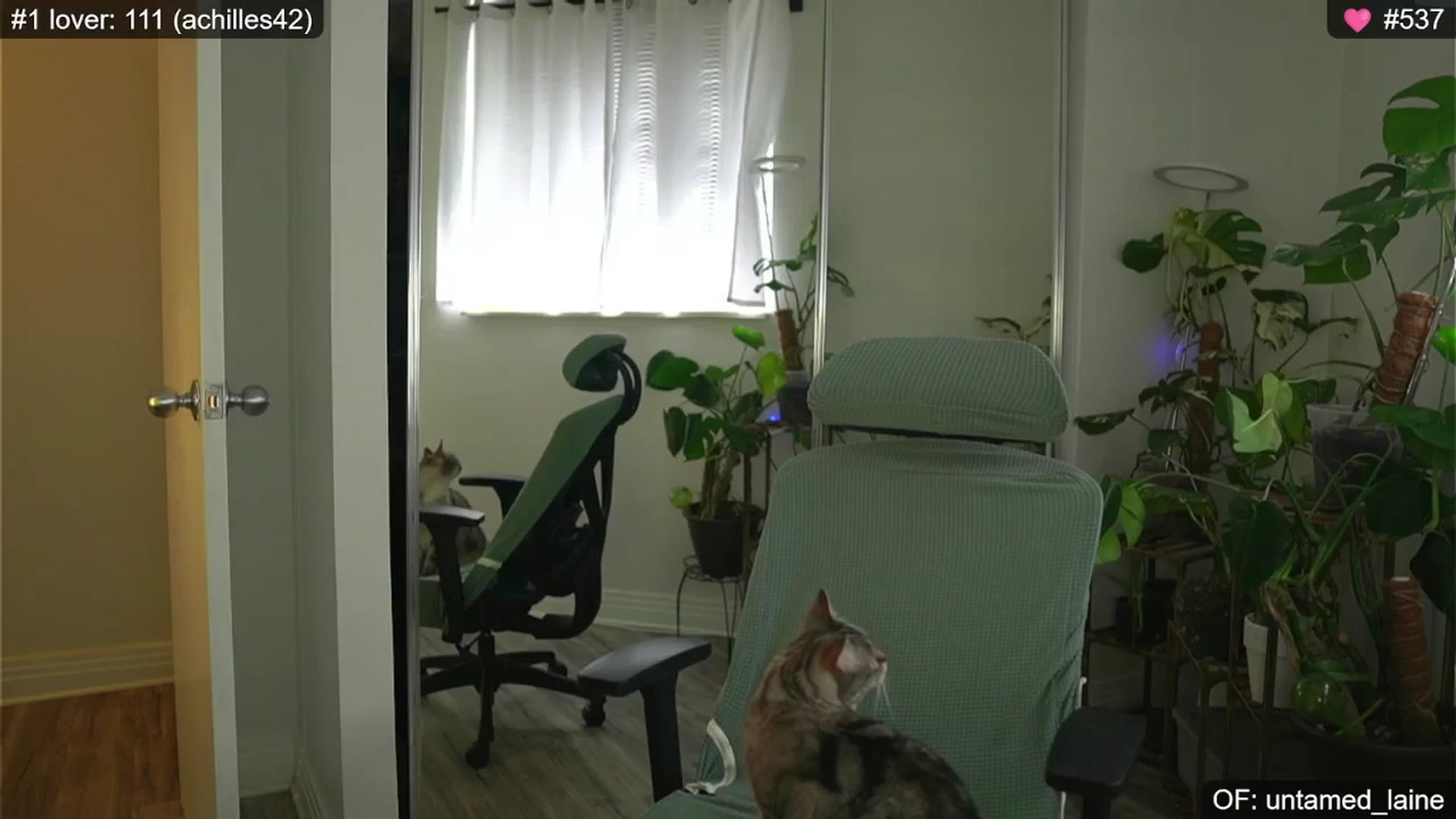 Gallery image thumbnail from e_laine's myfreecams stream on, 08/29/2024, 22:59 image 1 of 20