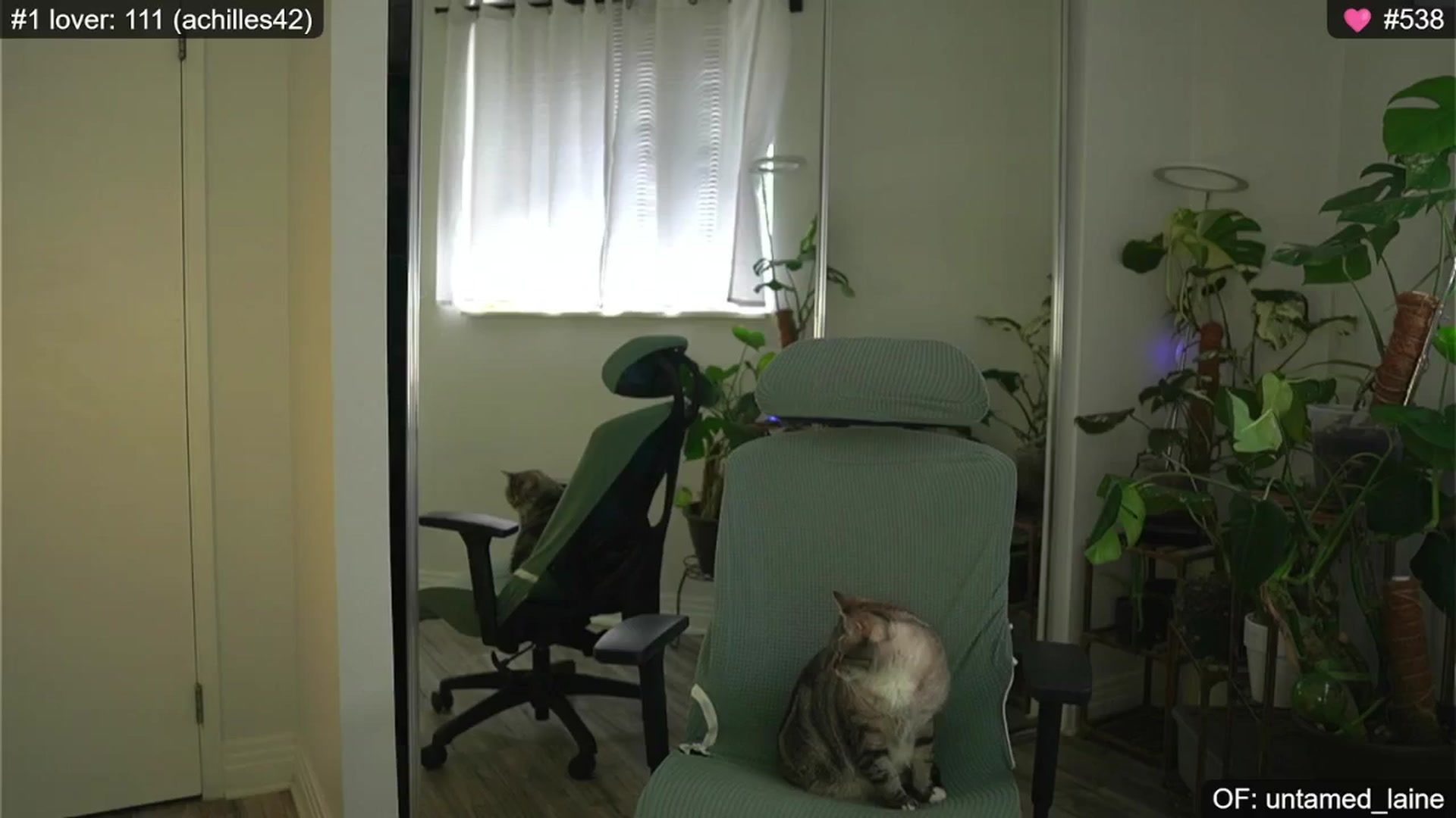 Gallery image thumbnail from e_laine's myfreecams stream on, 08/29/2024, 22:59 image 5 of 20