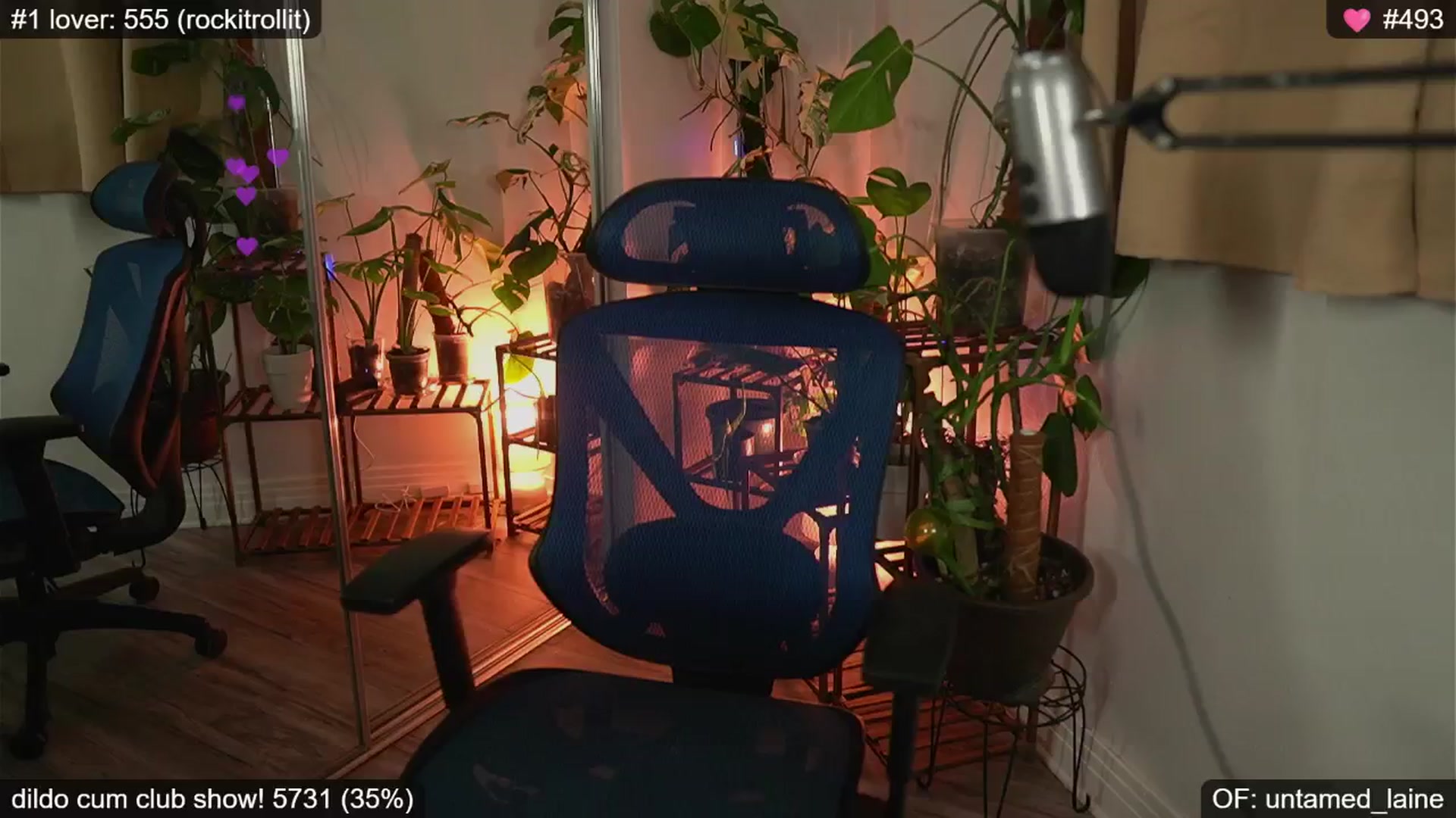 Gallery image thumbnail from e_laine's myfreecams stream on, 10/11/2024, 01:24 image 13 of 20