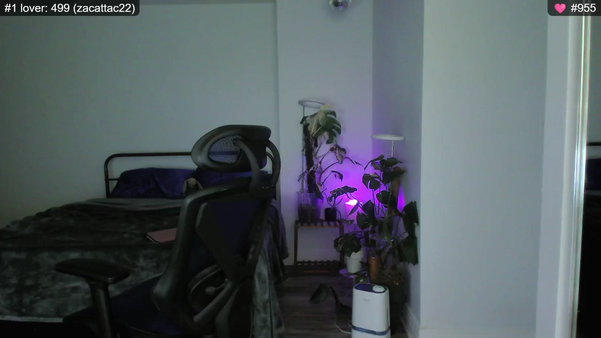 Gallery image thumbnail from e_laine's myfreecams stream on, 01/01/2025, 04:56 image 12 of 20