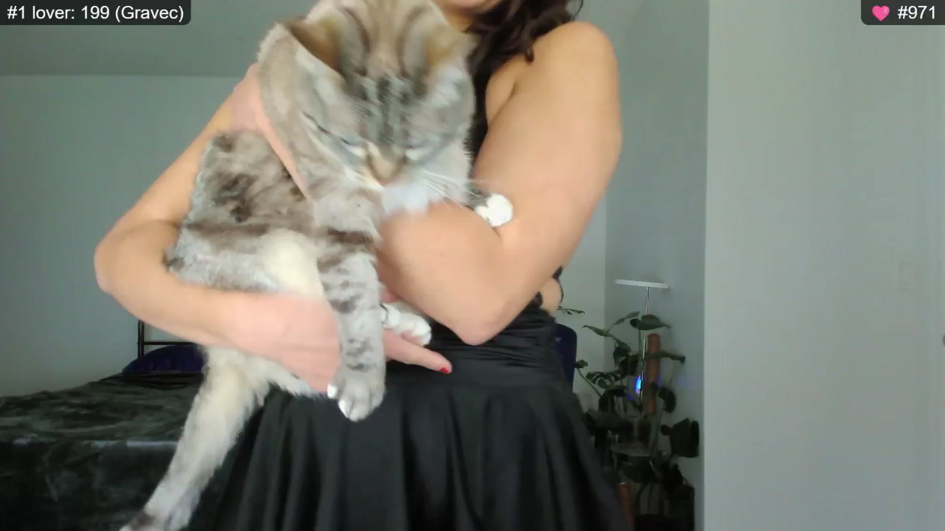 Gallery image thumbnail from e_laine's myfreecams stream on, 01/04/2025, 02:24 image 1 of 20