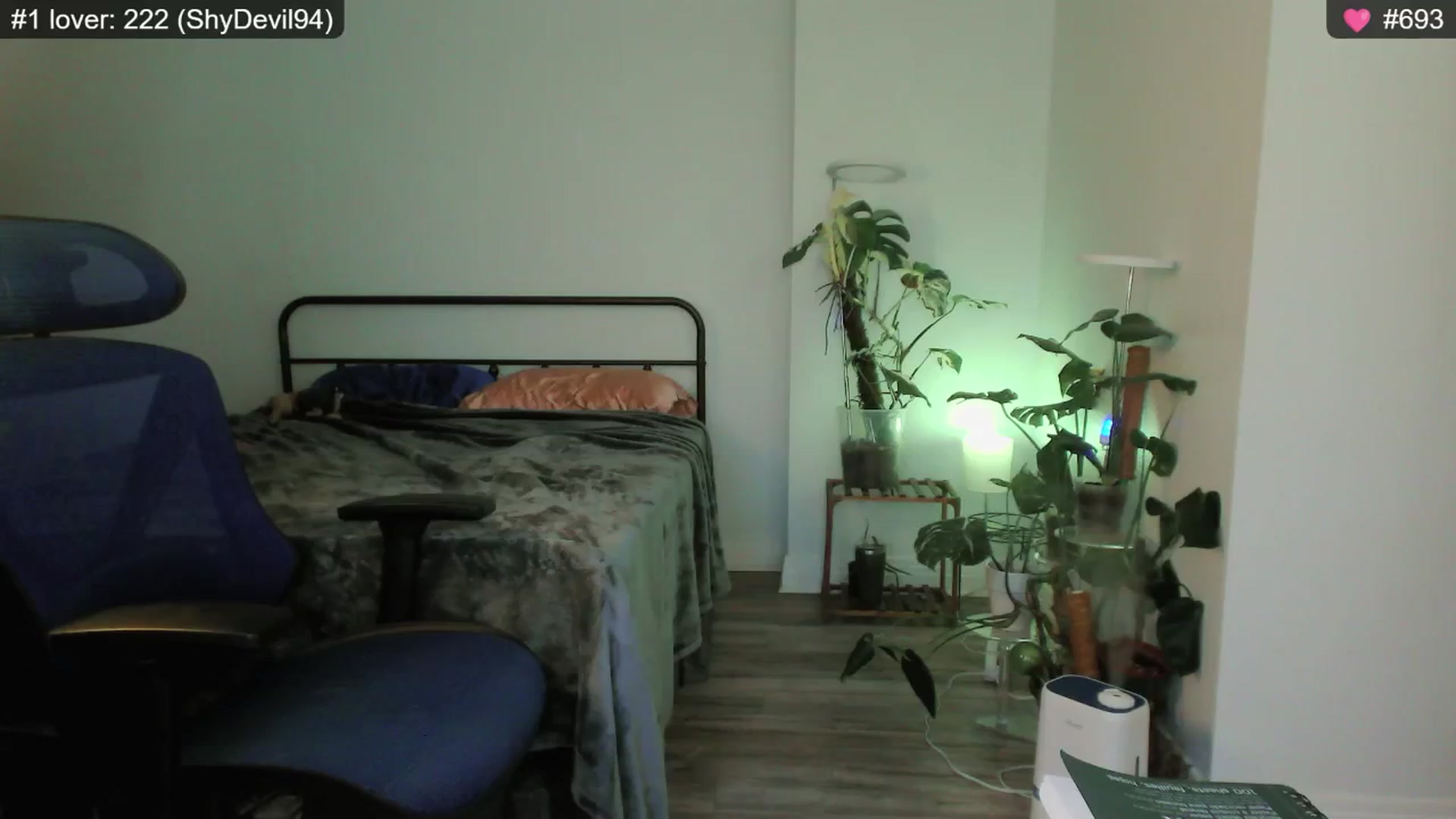 Gallery image thumbnail from e_laine's myfreecams stream on, 01/04/2025, 22:54 image 8 of 20