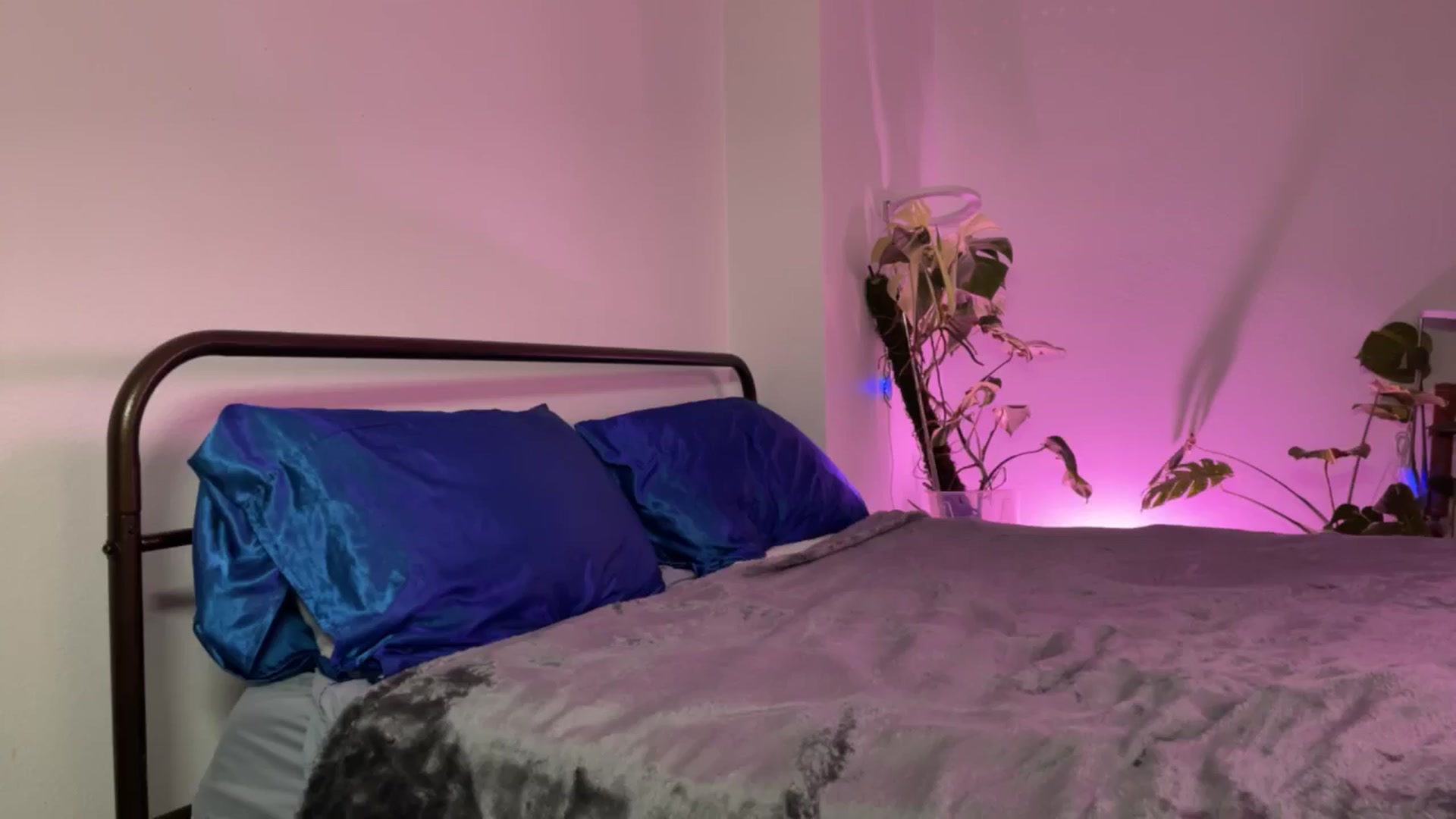 Gallery image thumbnail from e_laine's myfreecams stream on, 03/06/2025, 24:28 image 1 of 20