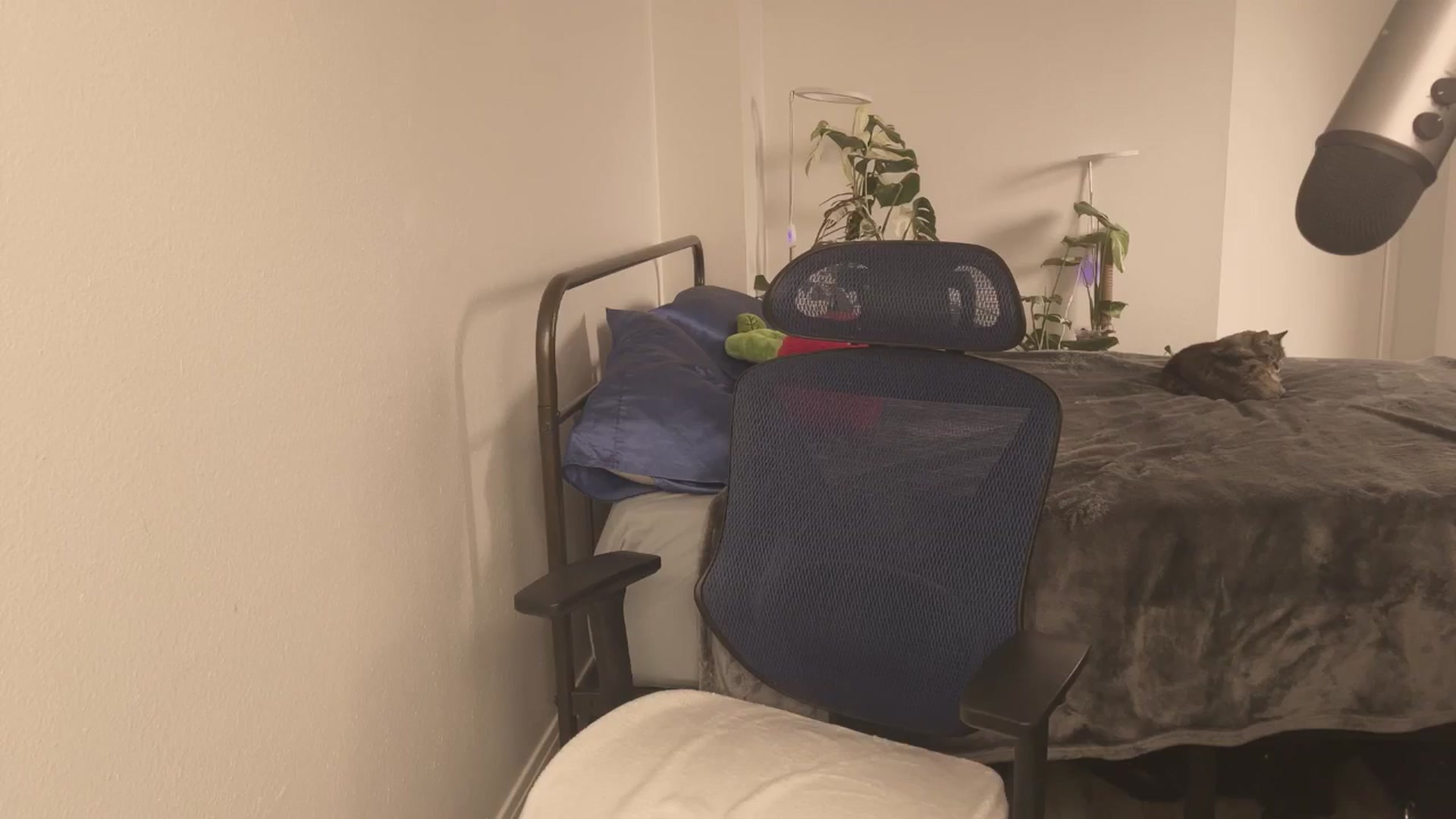 Gallery image thumbnail from e_laine's myfreecams stream on, 04/18/2025, 22:16 image 19 of 20