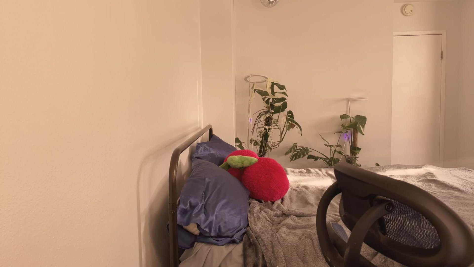 Gallery image thumbnail from e_laine's myfreecams stream on, 04/25/2025, 01:50 image 15 of 20