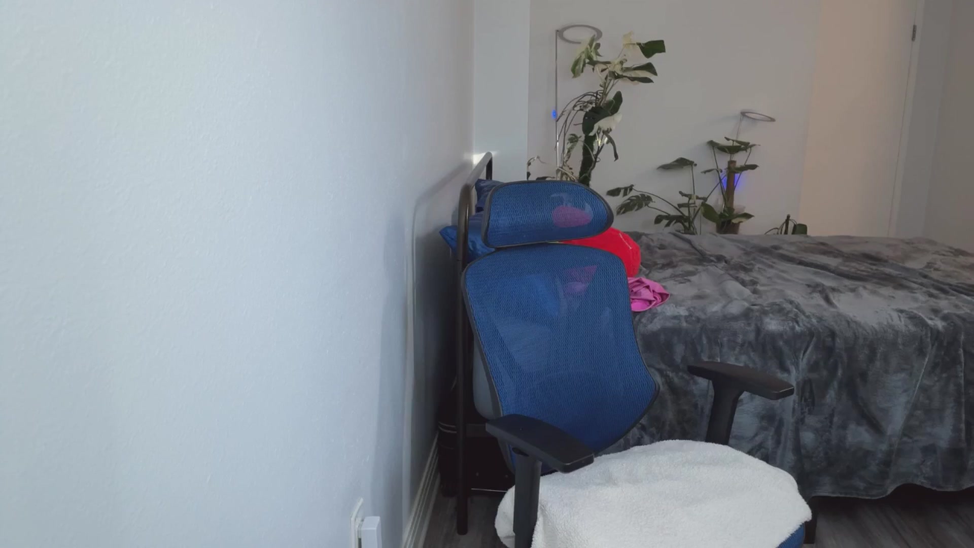 Gallery image thumbnail from e_laine's myfreecams stream on, 05/24/2025, 03:05 image 5 of 20