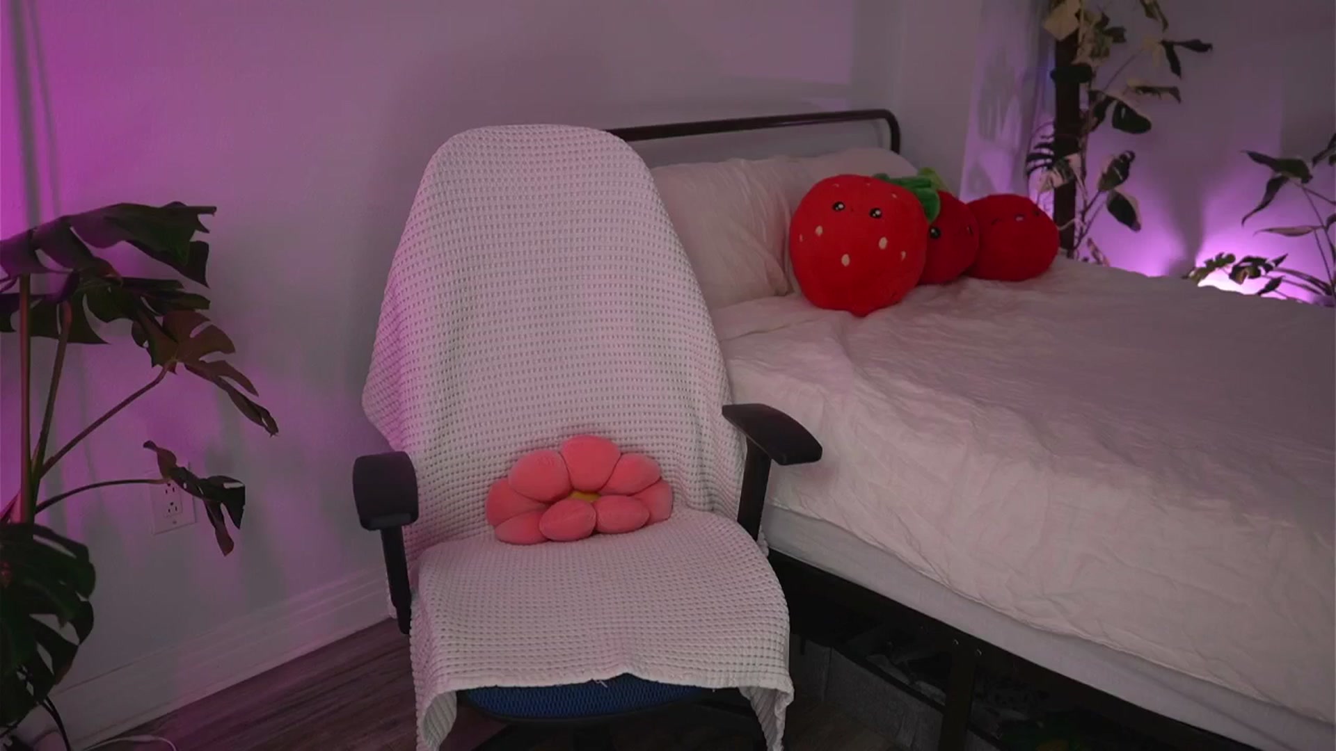 Gallery image thumbnail from e_laine's myfreecams stream on, 08/15/2025, 24:02 image 12 of 20