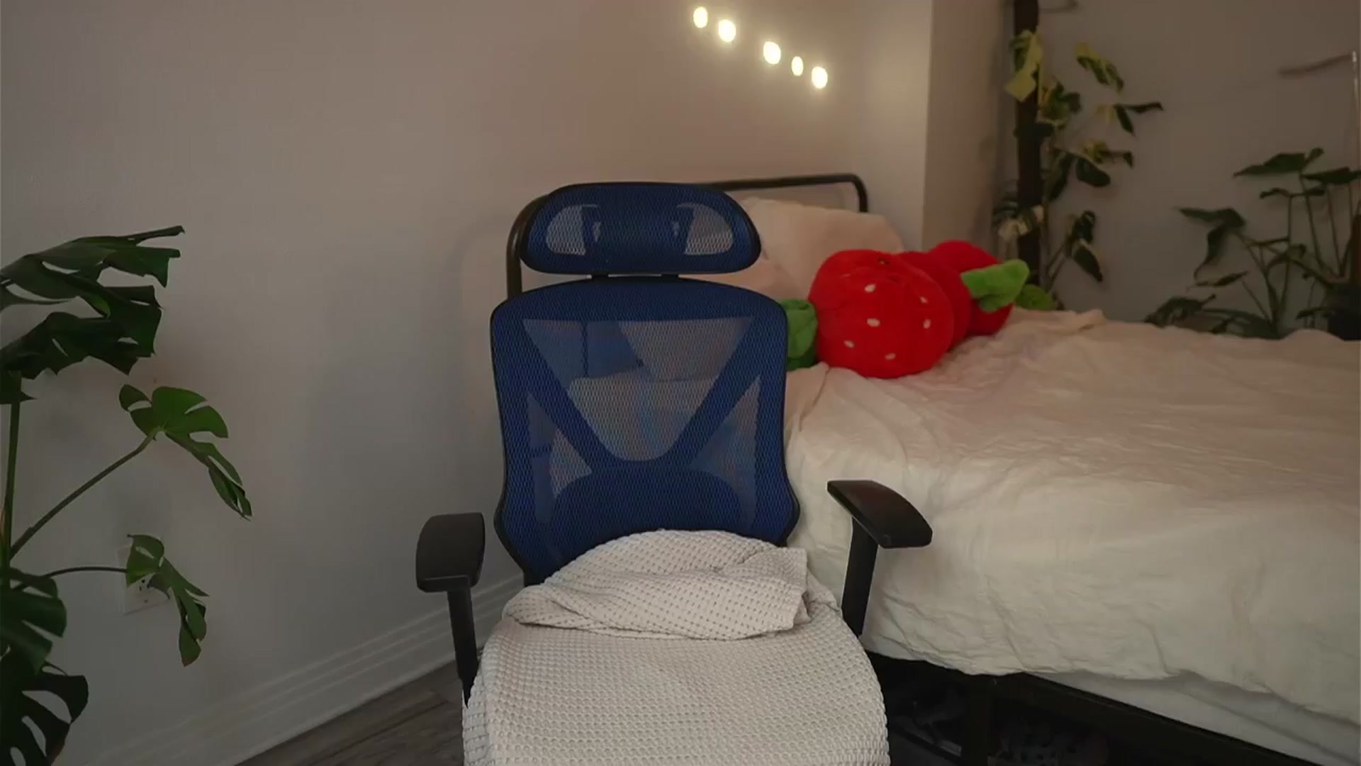 Gallery image thumbnail from e_laine's myfreecams stream on, 08/22/2025, 24:58 image 14 of 20