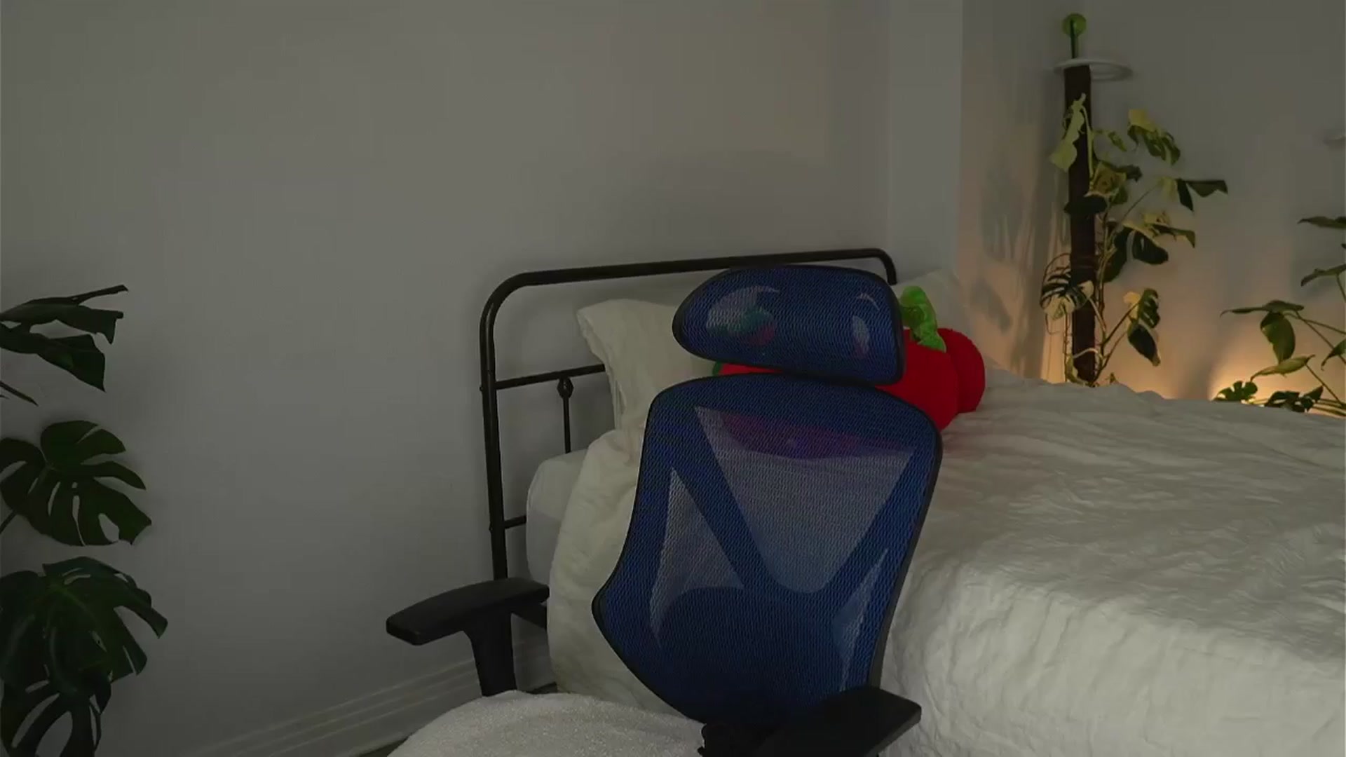 Gallery image thumbnail from e_laine's myfreecams stream on, 09/12/2025, 02:44 image 13 of 20