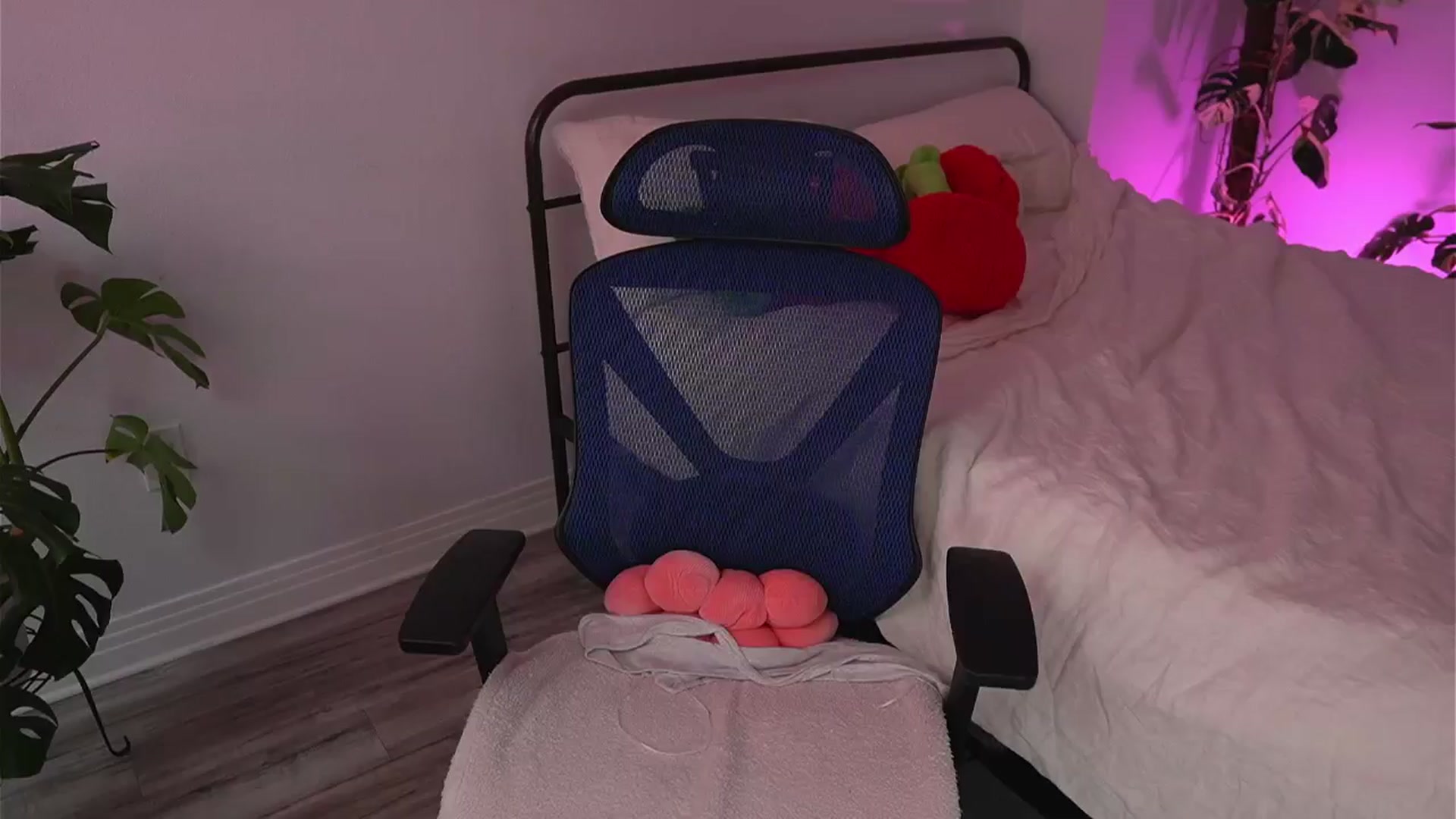 Gallery image thumbnail from e_laine's myfreecams stream on, 09/13/2025, 22:03 image 13 of 20