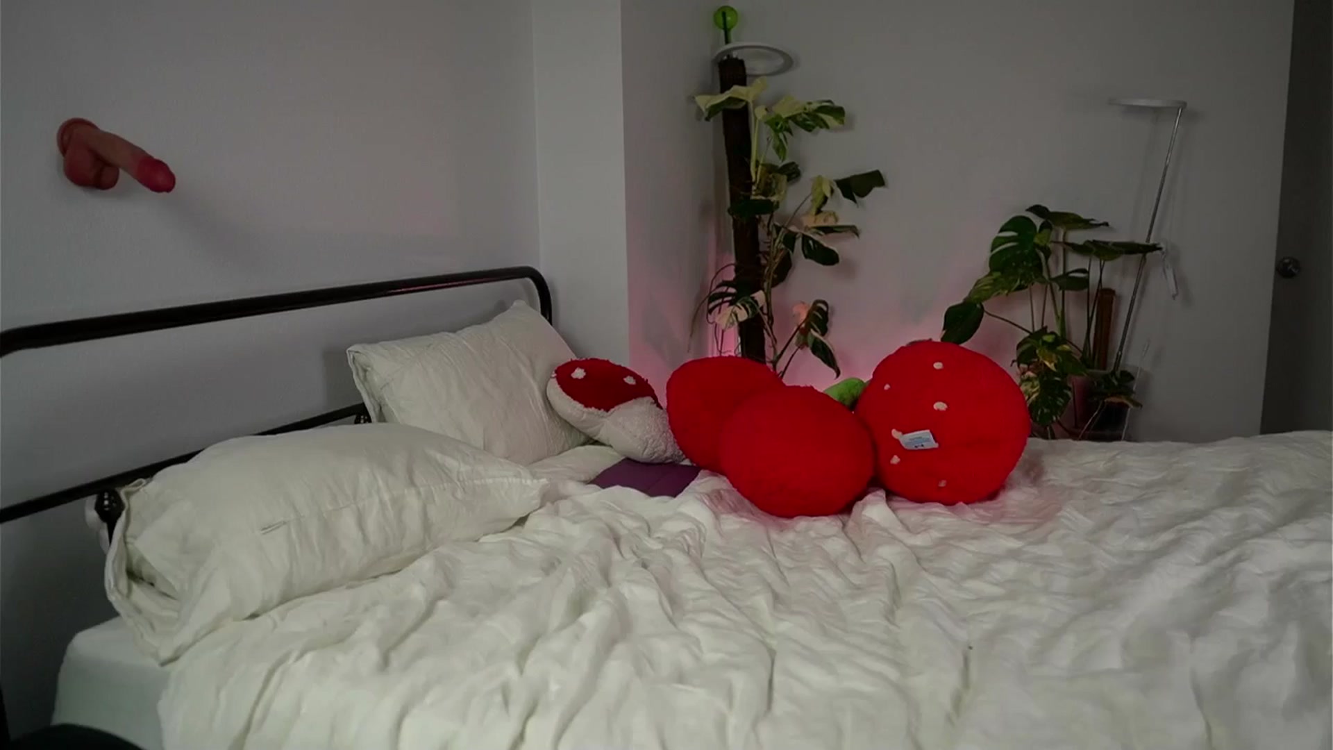 Gallery image thumbnail from e_laine's myfreecams stream on, 10/18/2025, 01:59 image 20 of 20