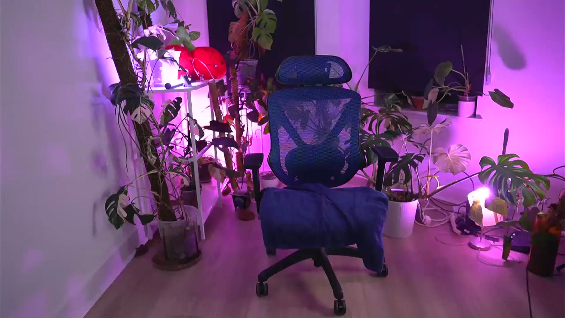 Gallery image thumbnail from e_laine's myfreecams stream on, 11/16/2025, 24:03 image 13 of 20