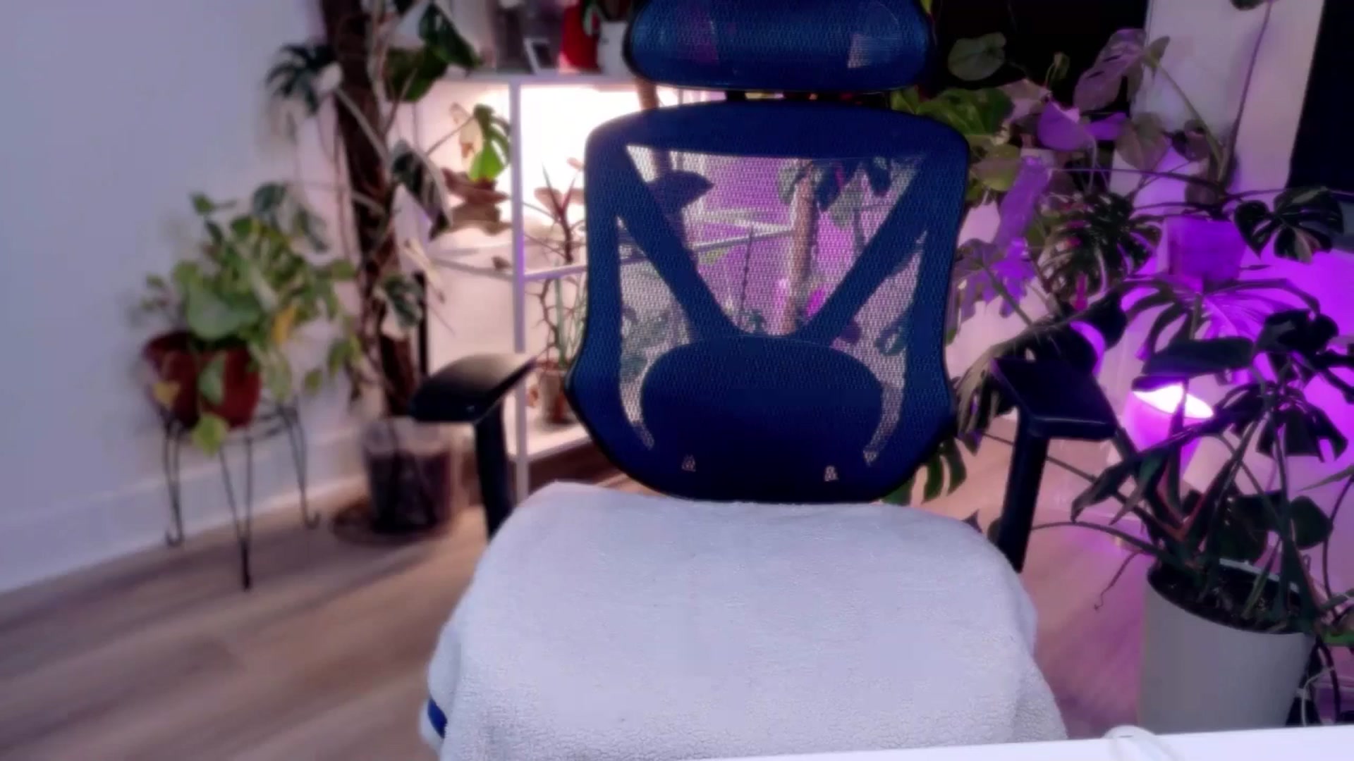 Gallery image thumbnail from e_laine's myfreecams stream on, 12/05/2025, 02:15 image 20 of 20