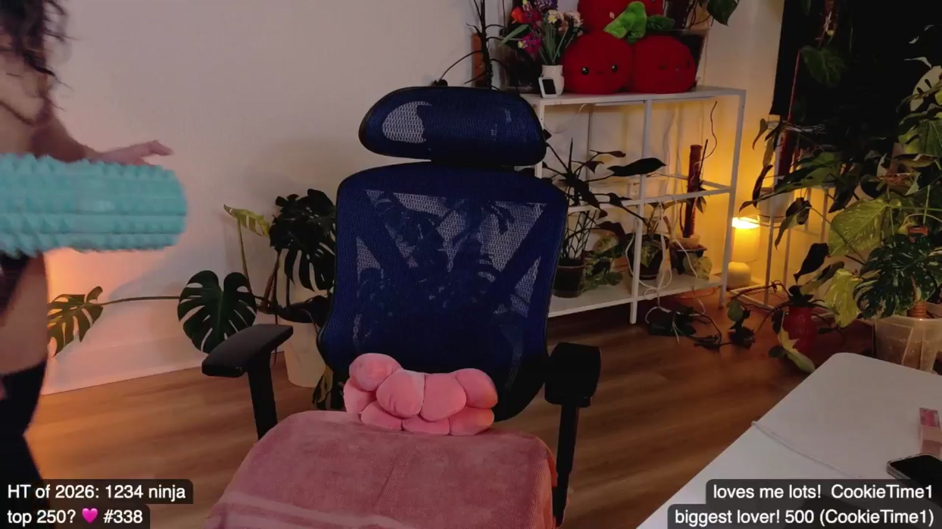 Gallery image thumbnail from e_laine's myfreecams stream on, 01/10/2026, 02:27 image 11 of 20