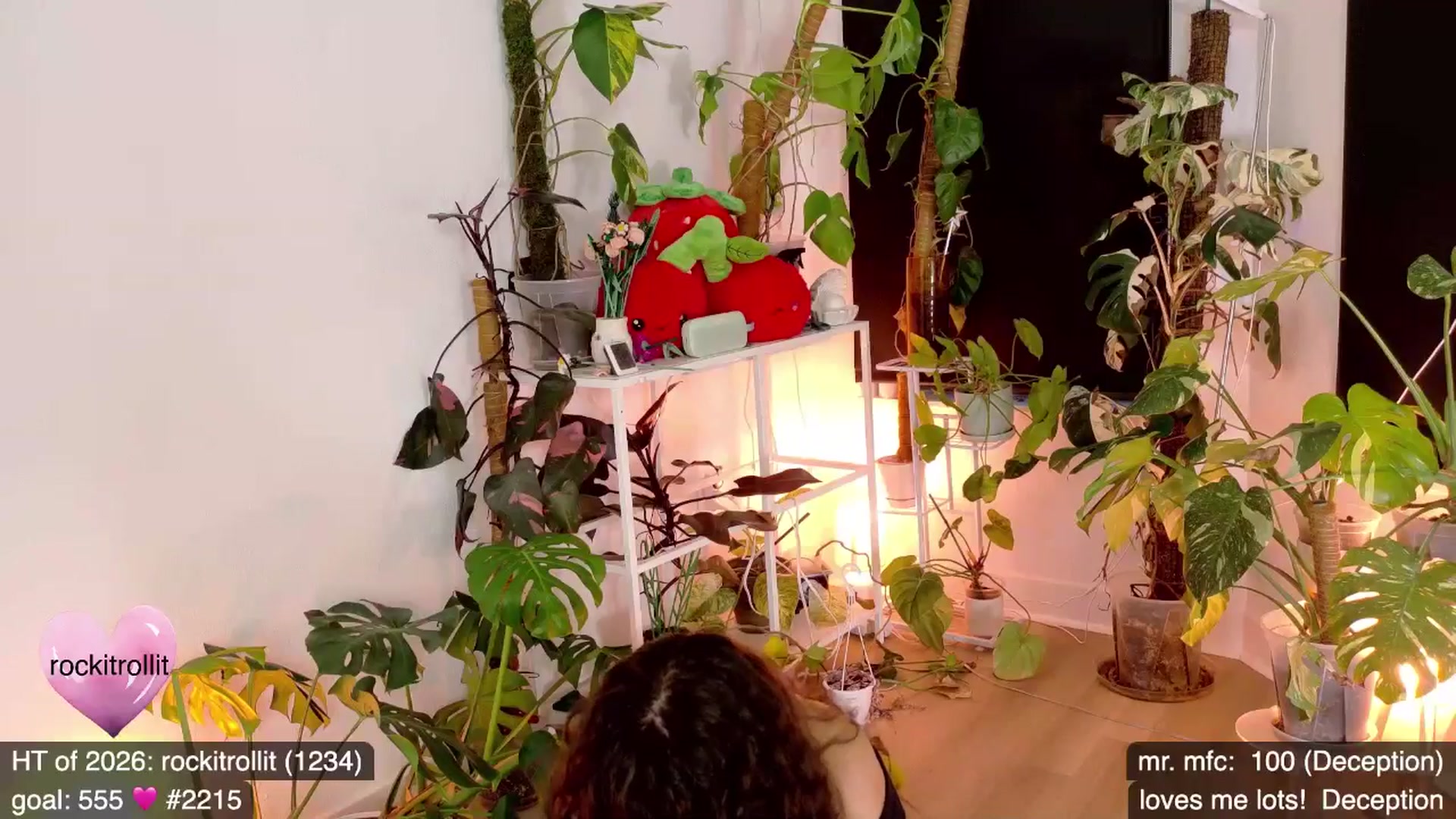 Gallery image thumbnail from e_laine's myfreecams stream on, 03/07/2026, 01:04 image 11 of 20