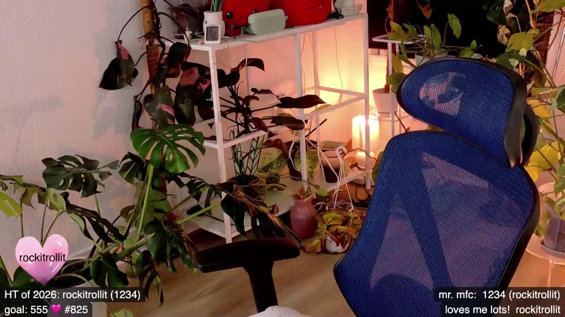 Gallery image thumbnail from e_laine's myfreecams stream on, 03/12/2026, 05:41 image 5 of 20