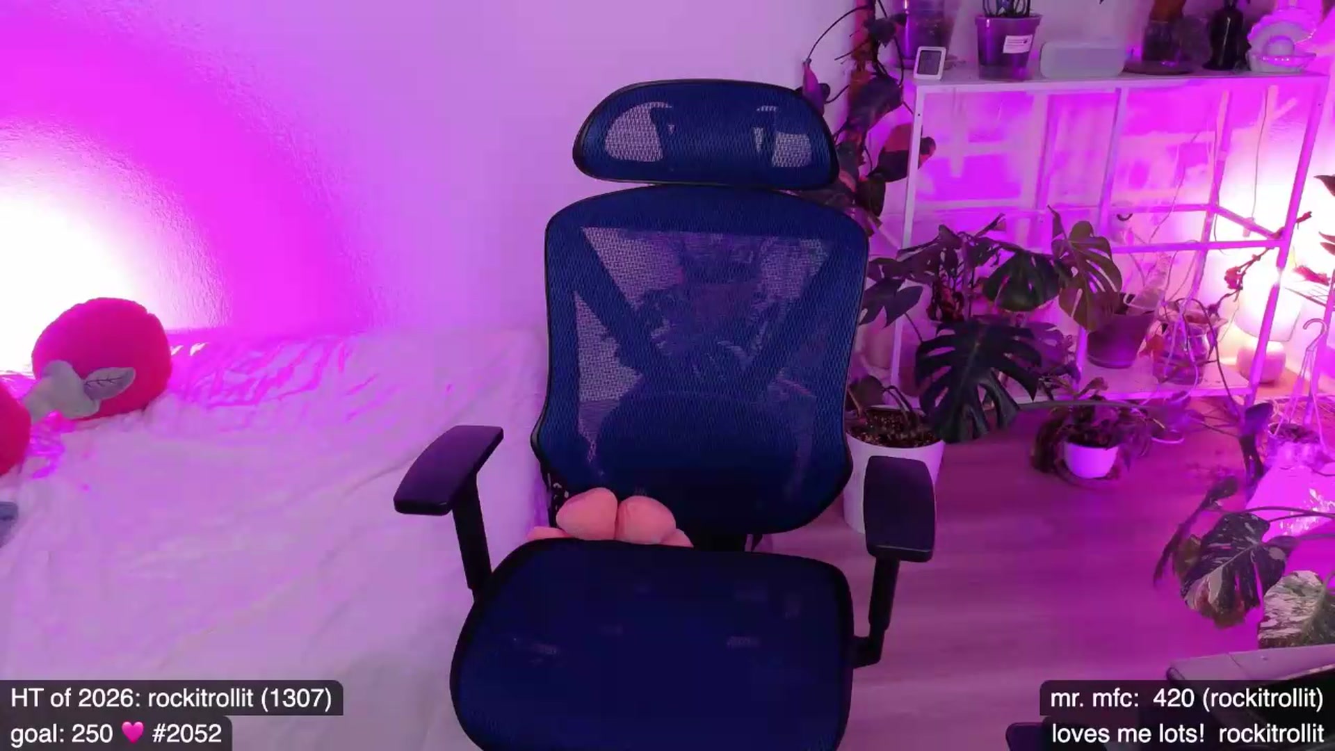 Gallery image thumbnail from e_laine's myfreecams stream on, 05/13/2026, 02:46 image 8 of 20