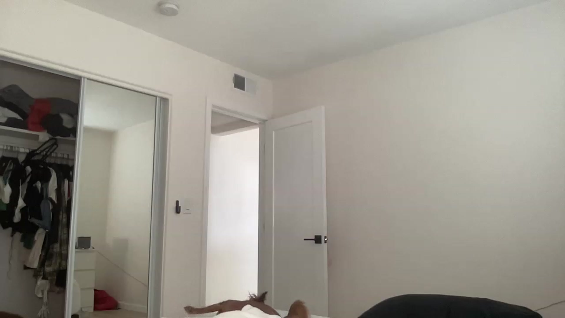 Gallery image thumbnail from ed3nn's myfreecams stream on, 05/31/2023, 20:25 image 10 of 20