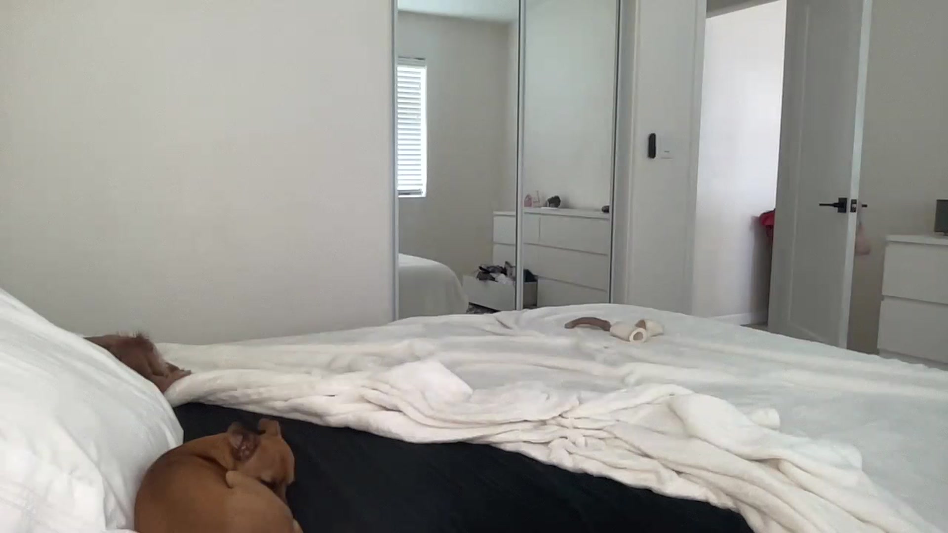 Gallery image thumbnail from ed3nn's myfreecams stream on, 06/09/2023, 21:46 image 9 of 20