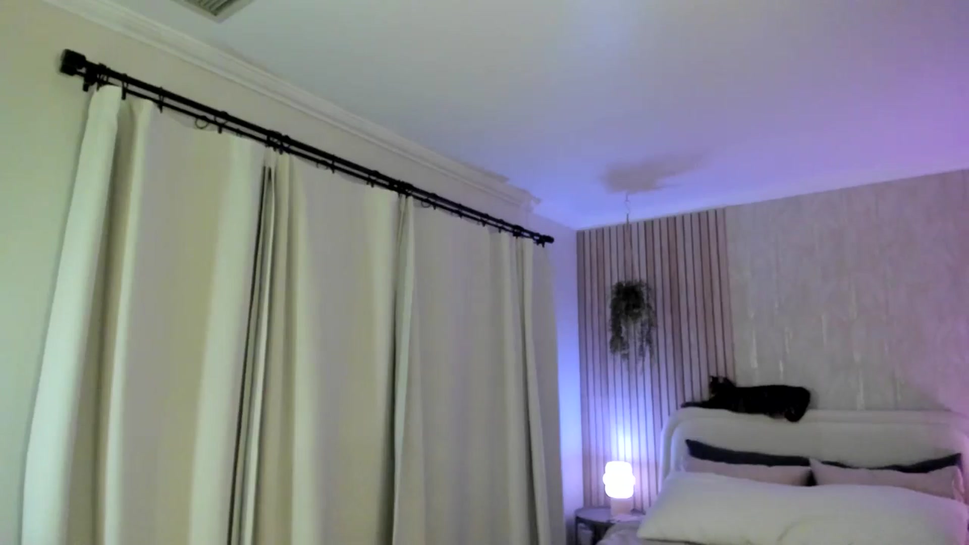 Gallery image thumbnail from eggytiff's myfreecams stream on, 04/21/2024, 06:18 image 2 of 20