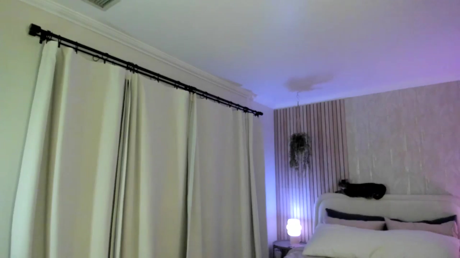 Gallery image thumbnail from eggytiff's myfreecams stream on, 04/21/2024, 06:18 image 3 of 20